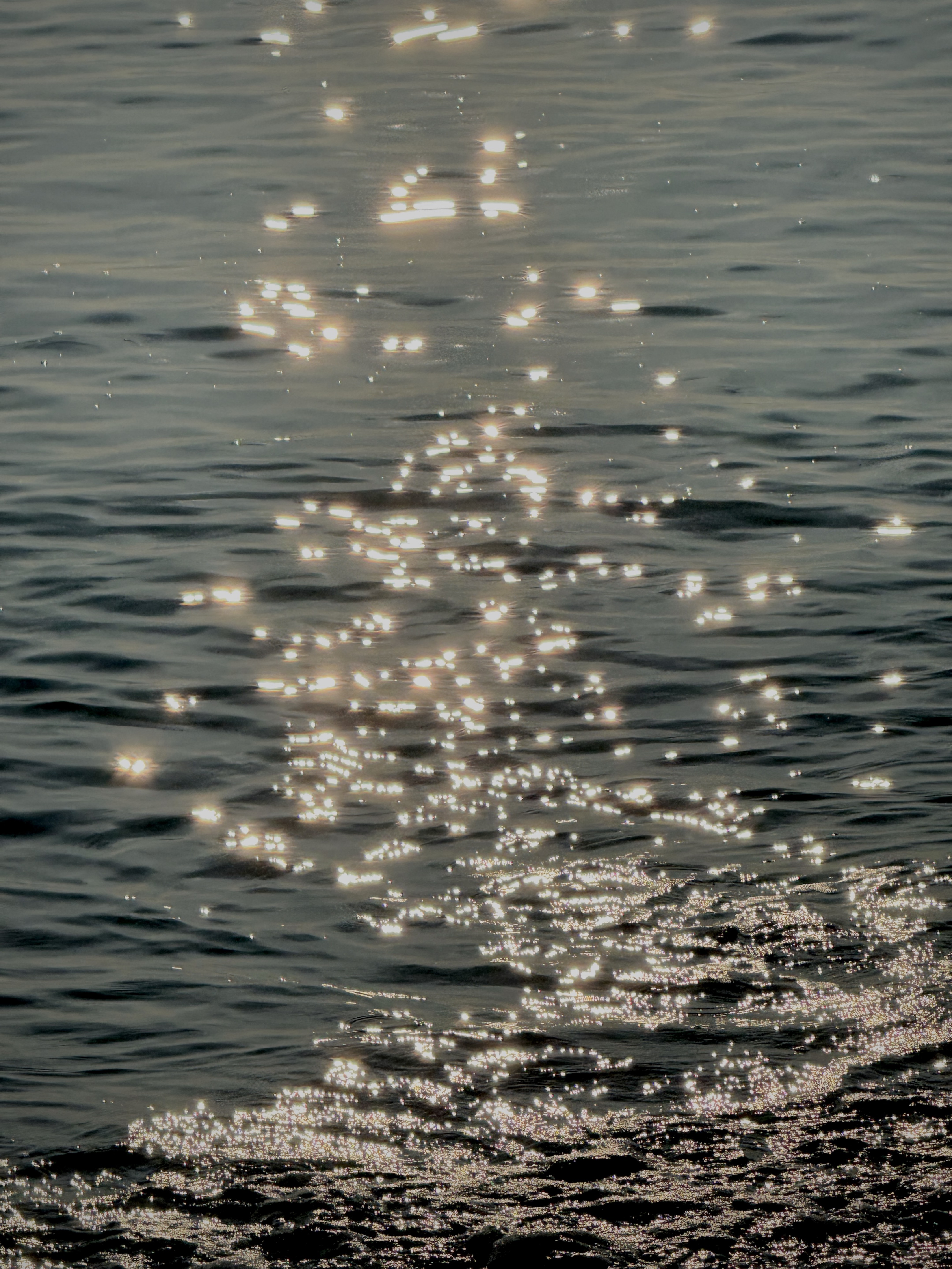 과제하며 플리 털기