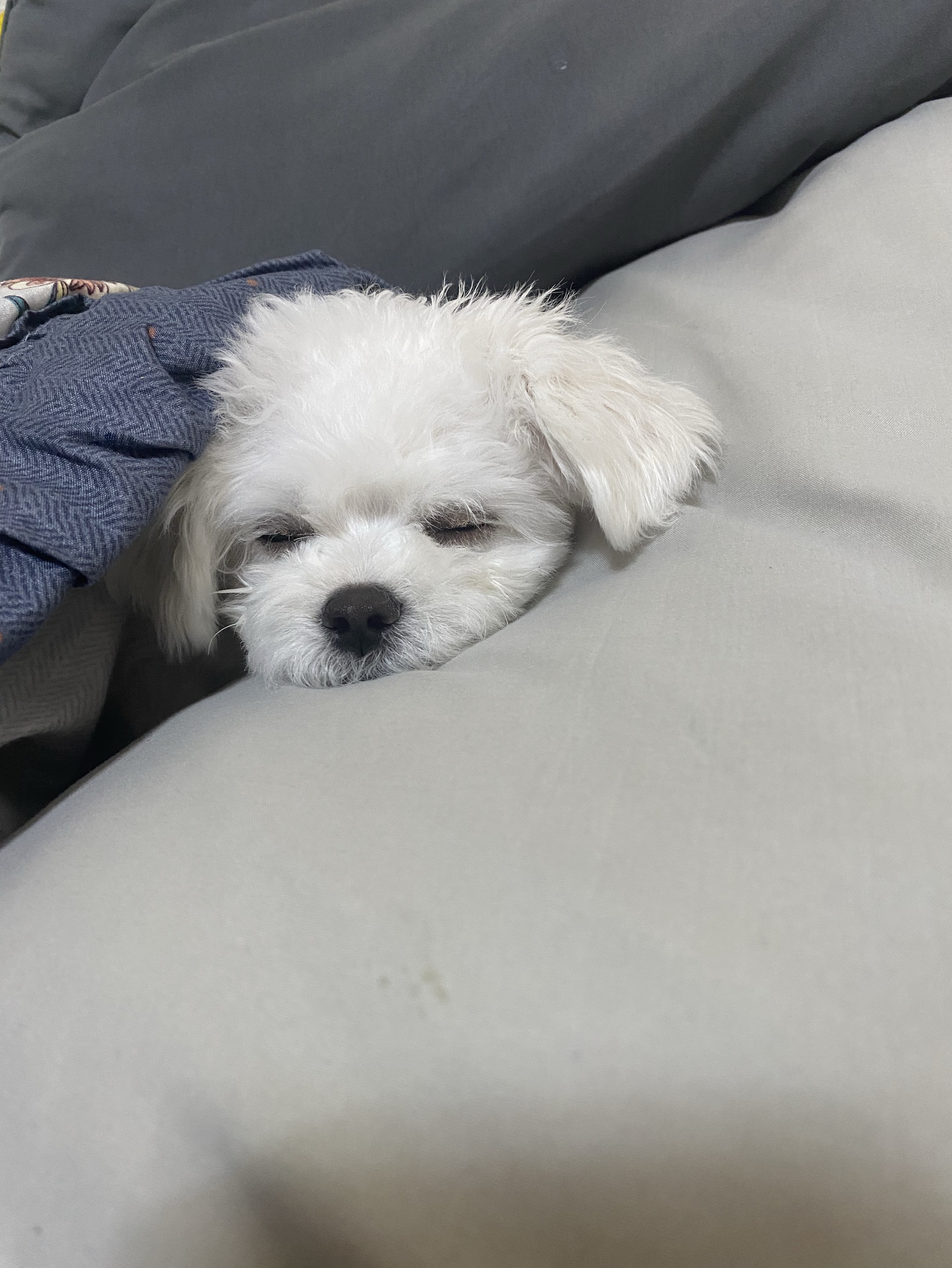 방ㅊ종 바로해줄게