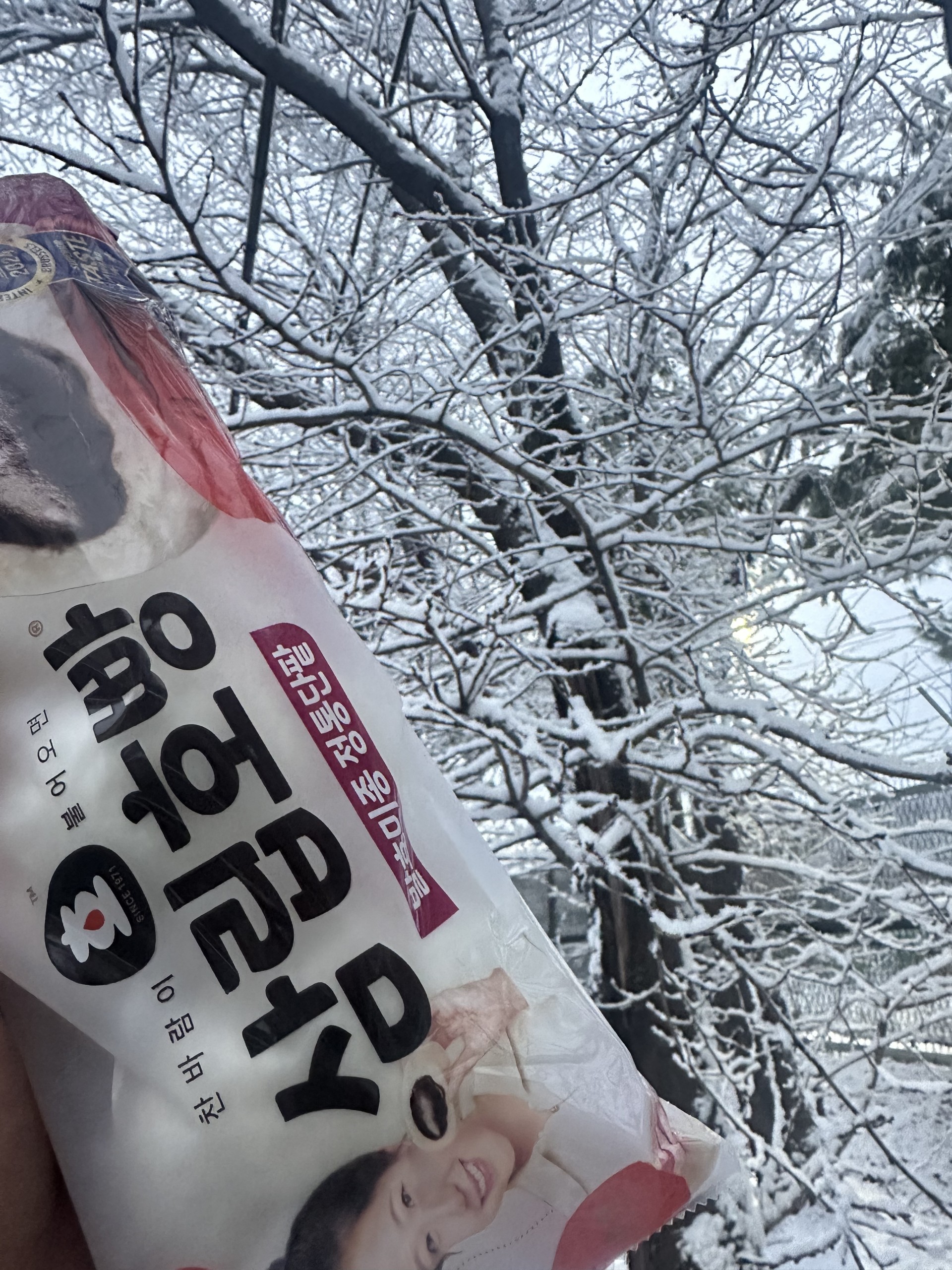 호빵조앙 ㅎ 담좌 커미 아이디