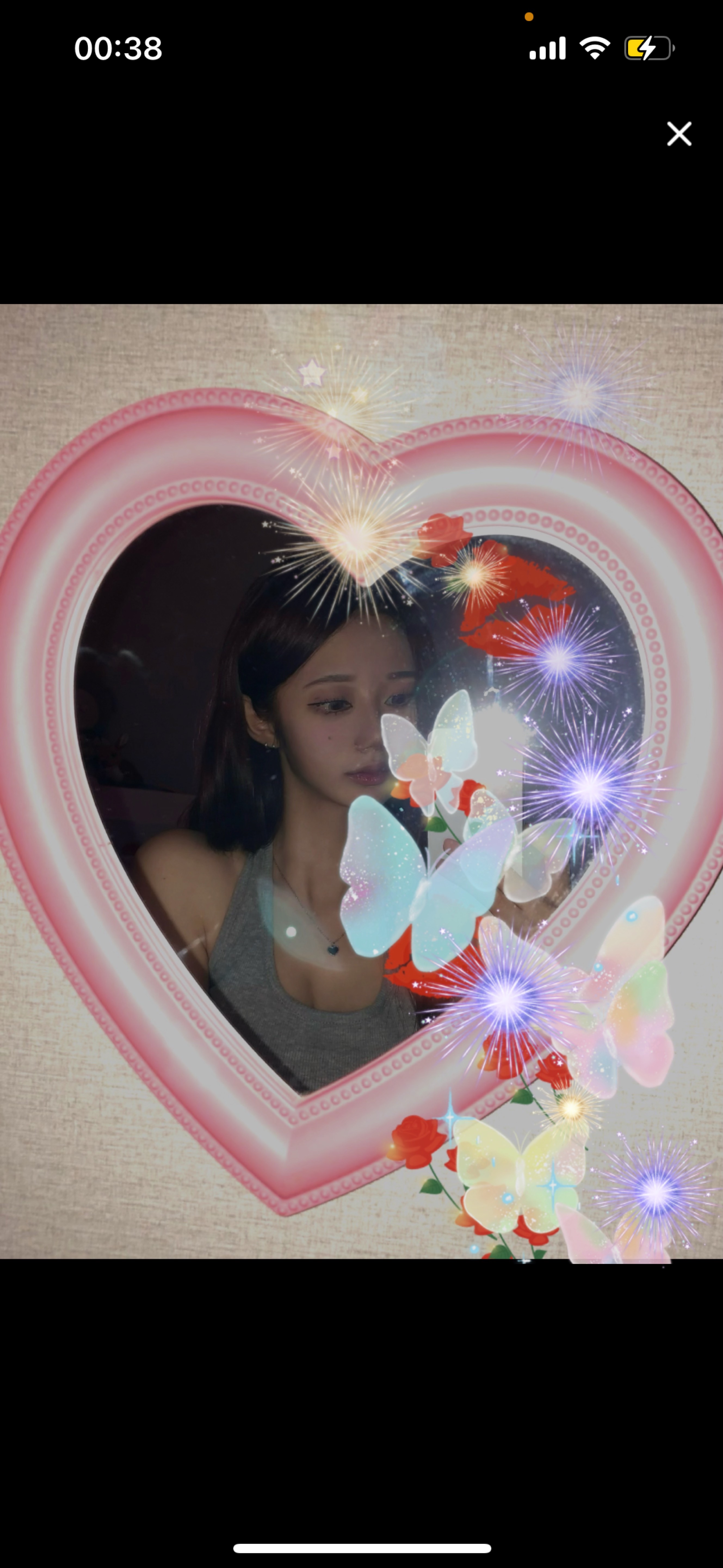 신입7일차)냥줍해주세요..야옹