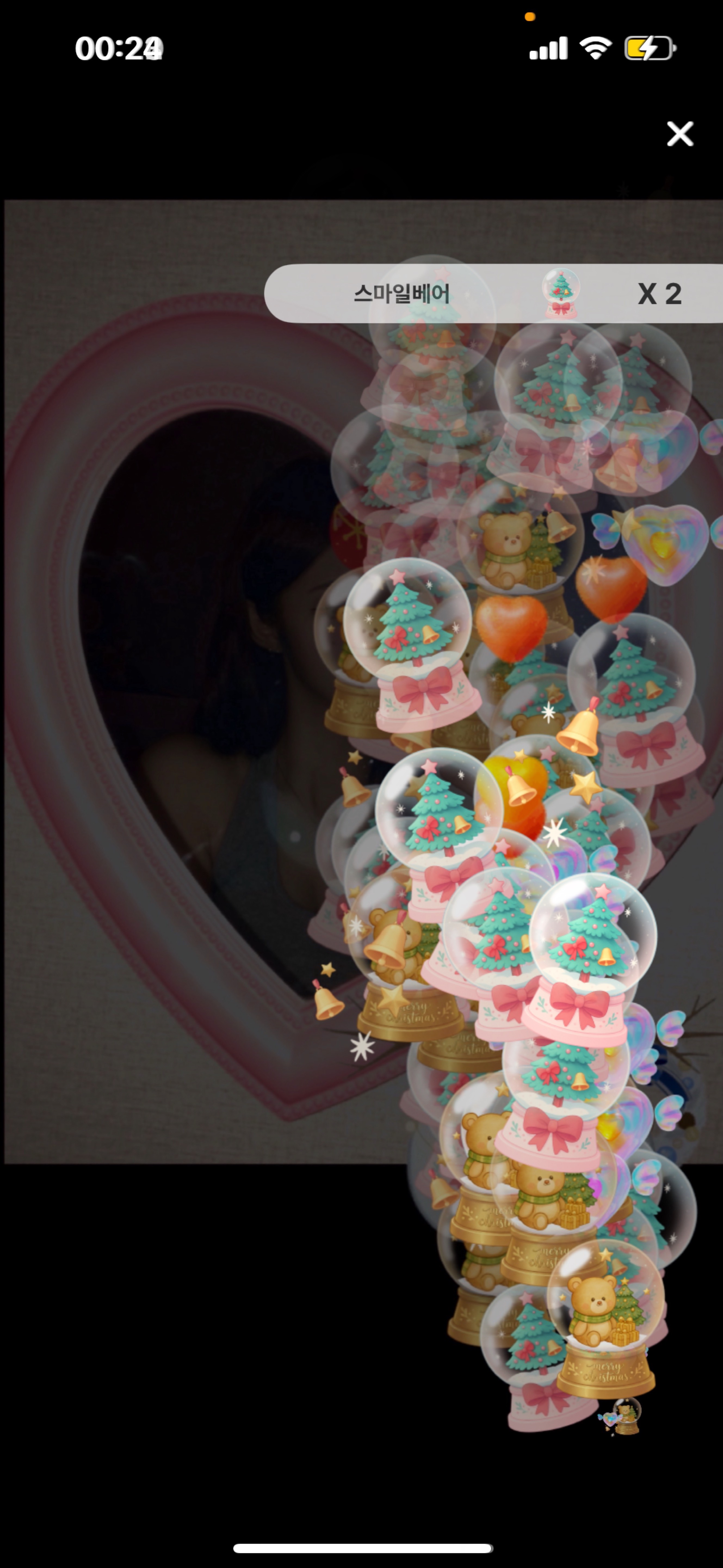 신입7일차)냥줍해주세요..야옹