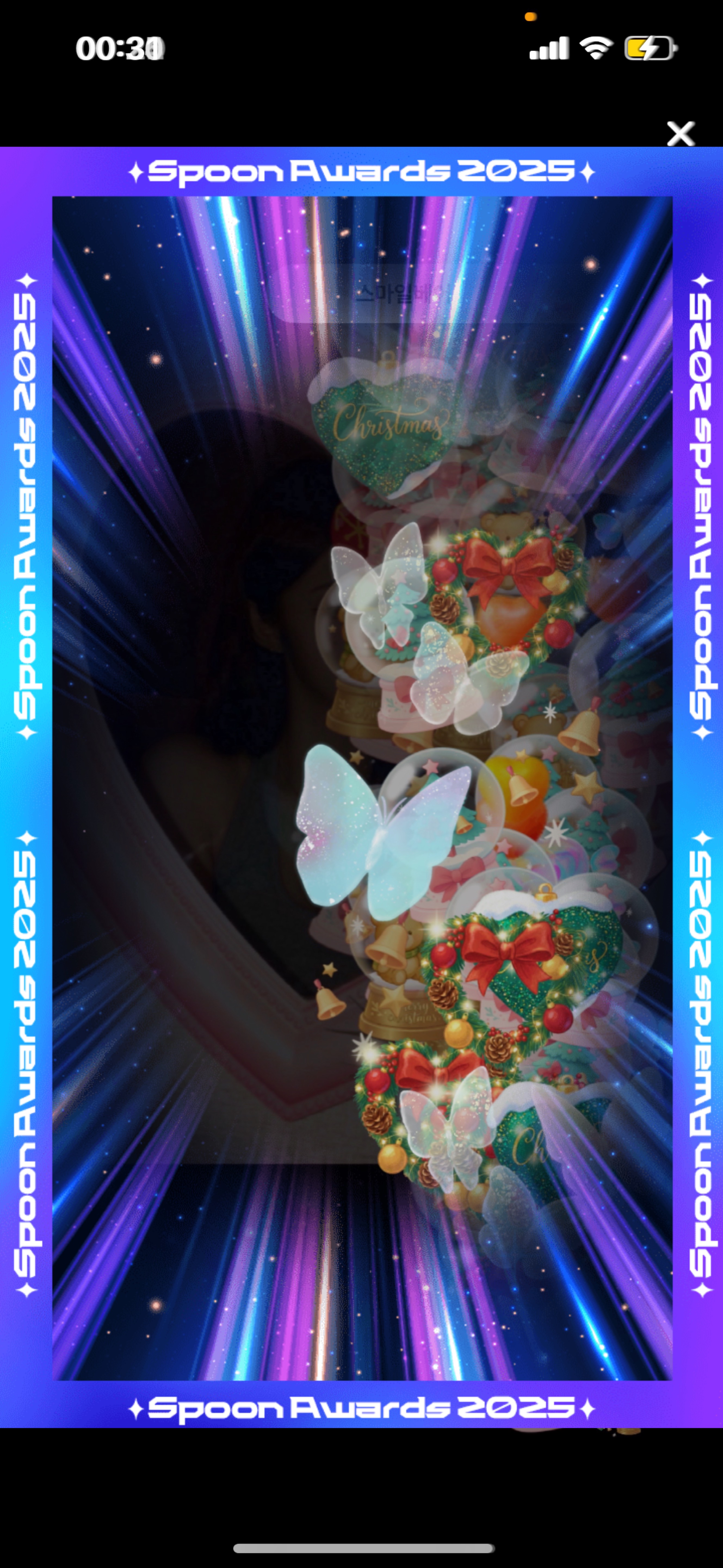 신입7일차)냥줍해주세요..야옹