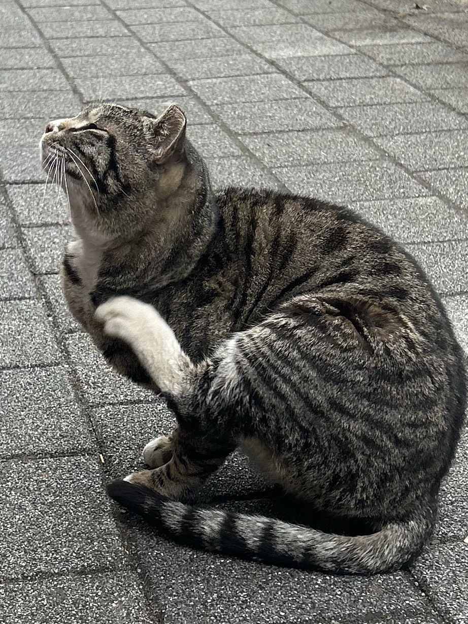 집착하게 하지 마세요