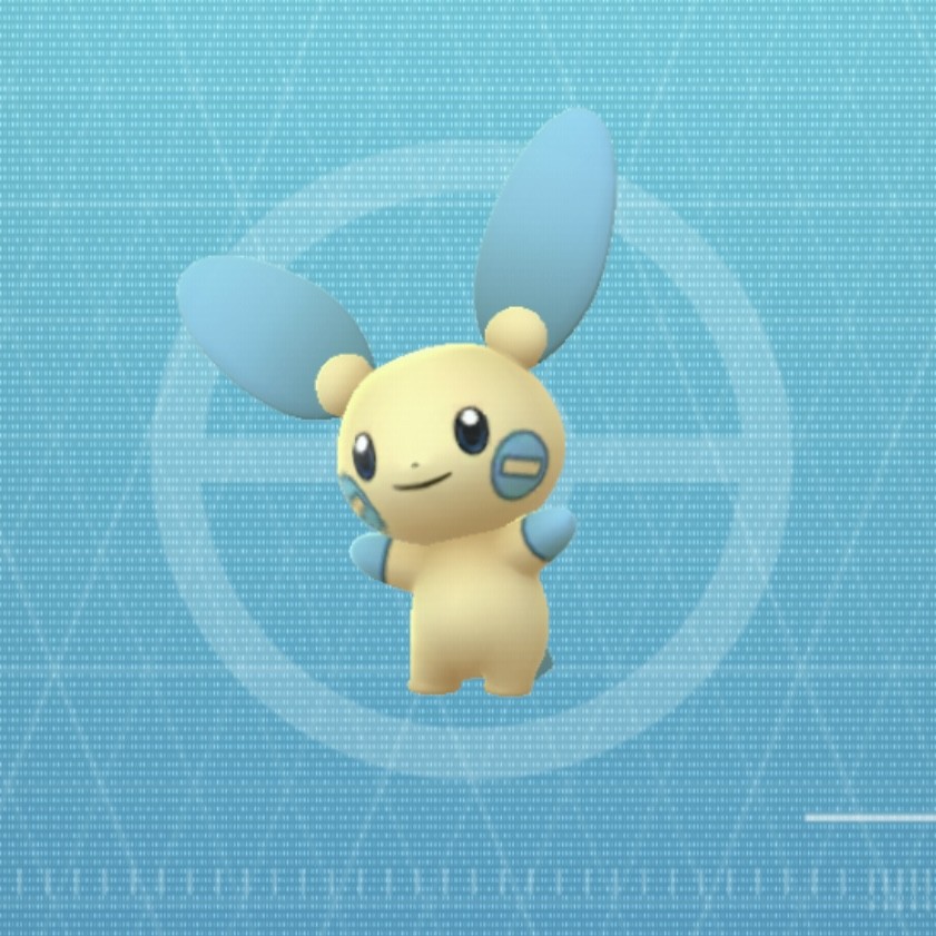 마음에 안 드시면 입컷하셔도 괜찮아요