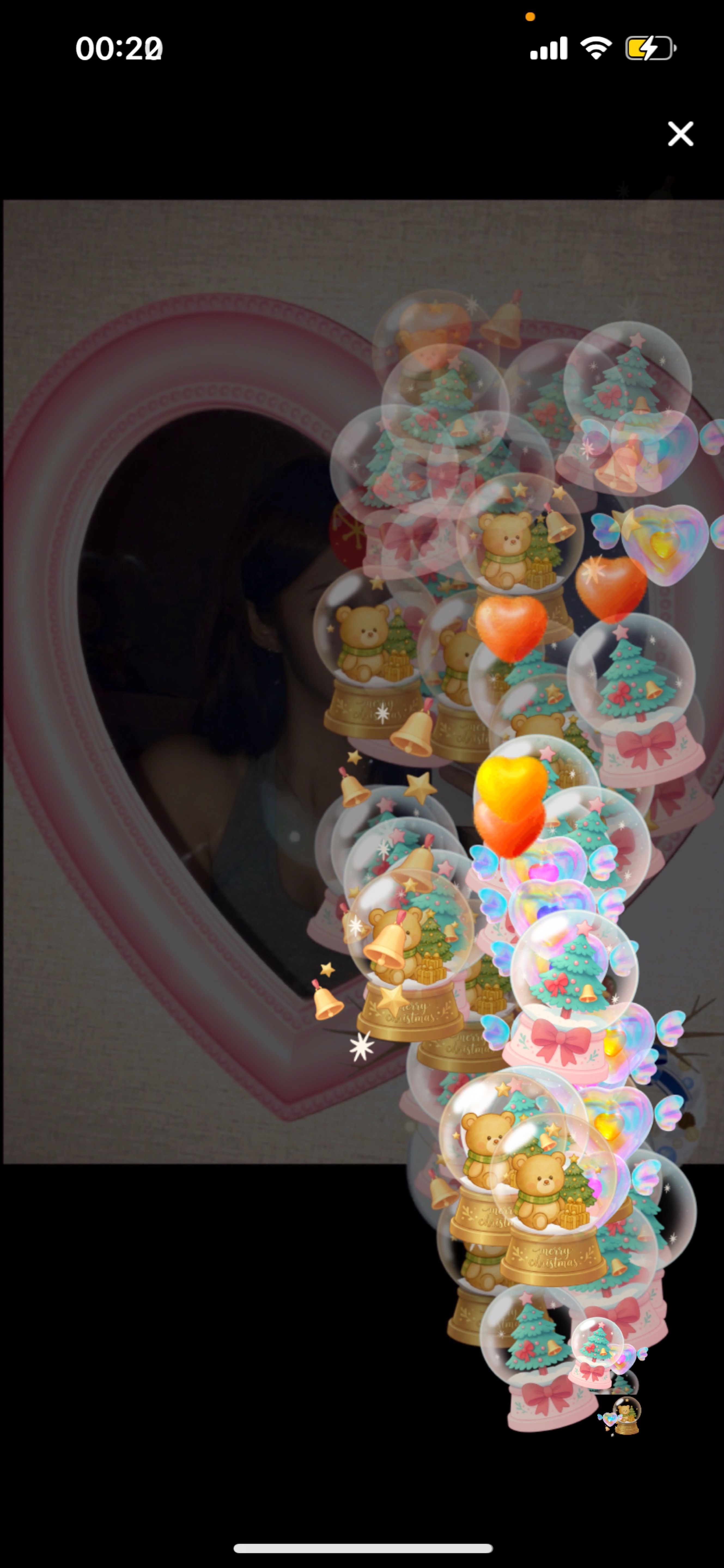 신입7일차)냥줍해주세요..야옹