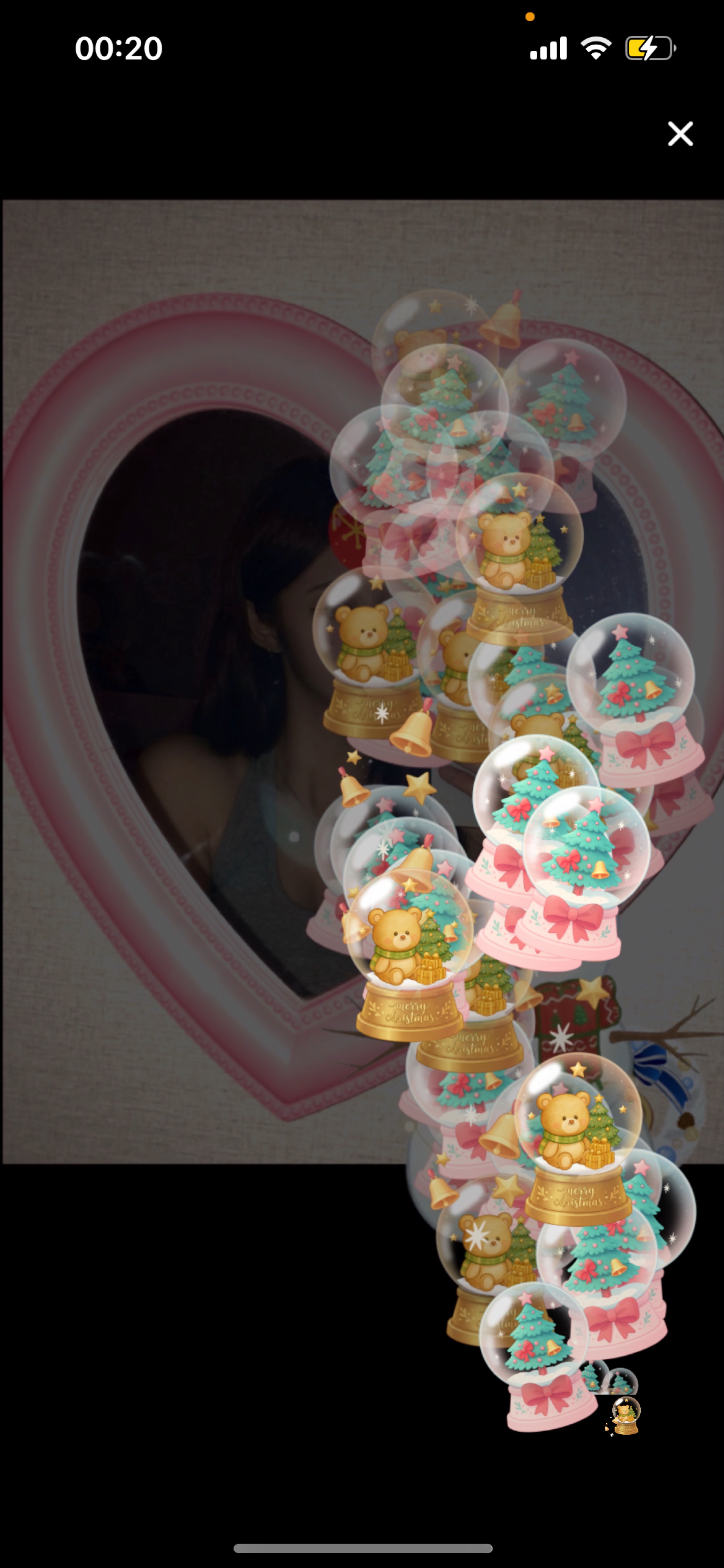 신입7일차)냥줍해주세요..야옹