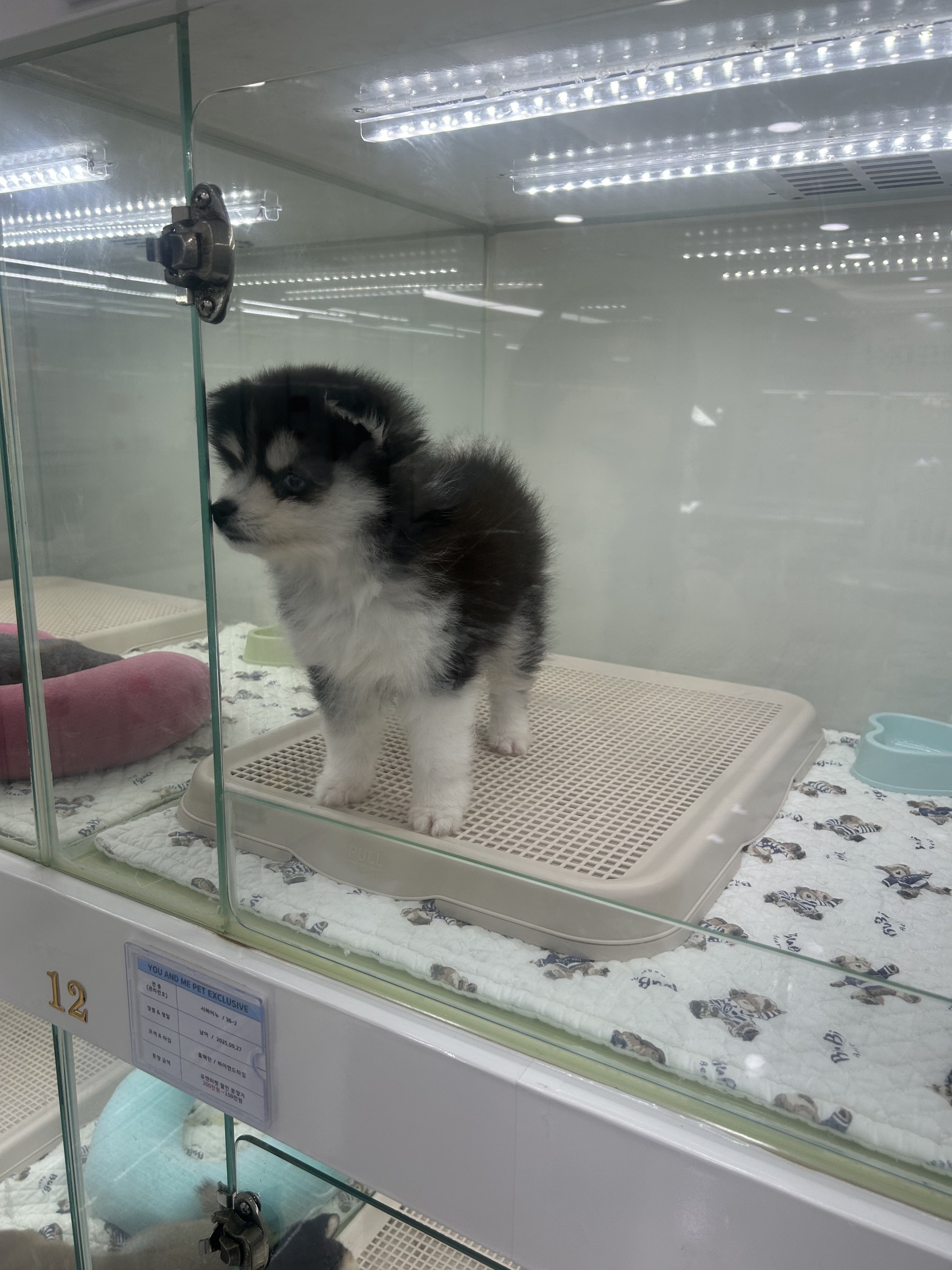 #마감 담좌 피터팬 카지노 ㄱㄱ