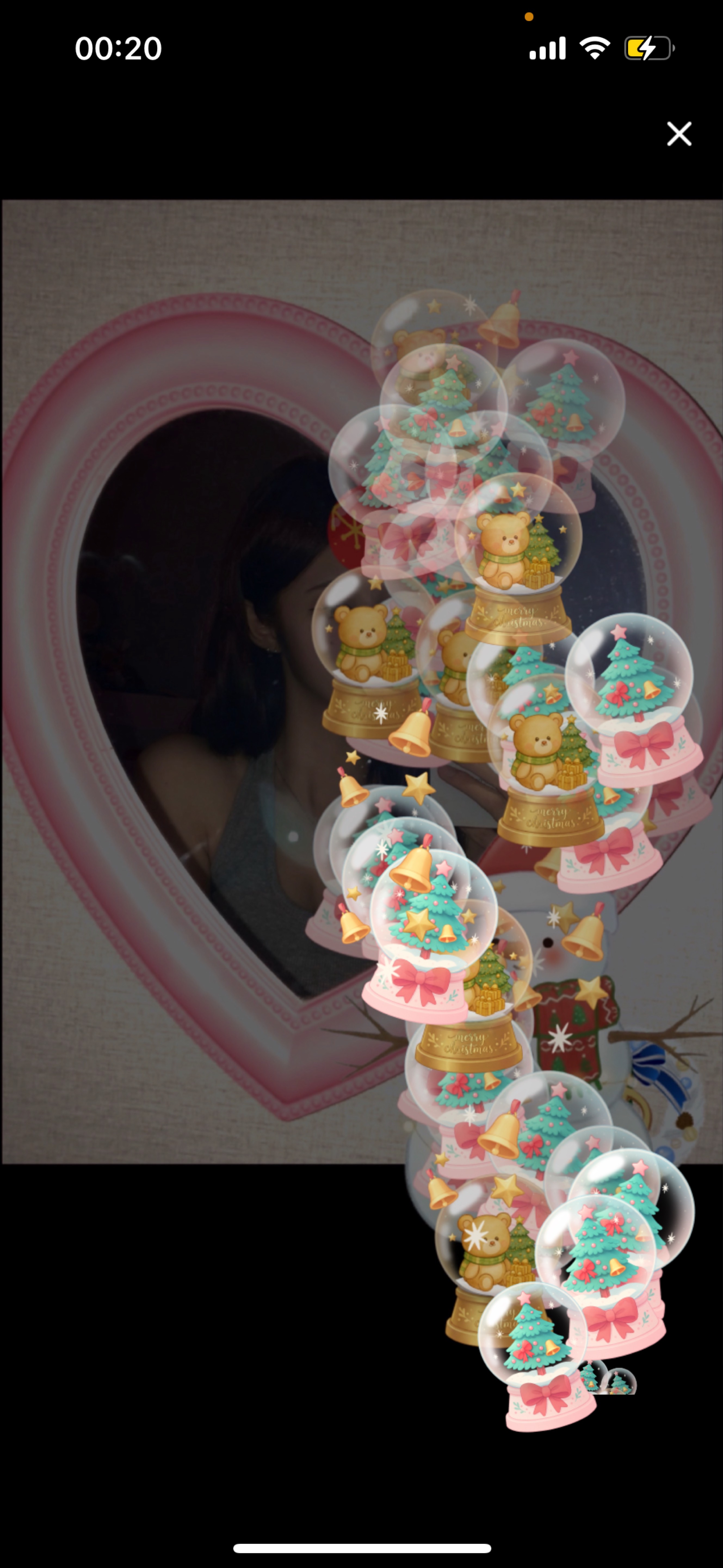 신입7일차)냥줍해주세요..야옹