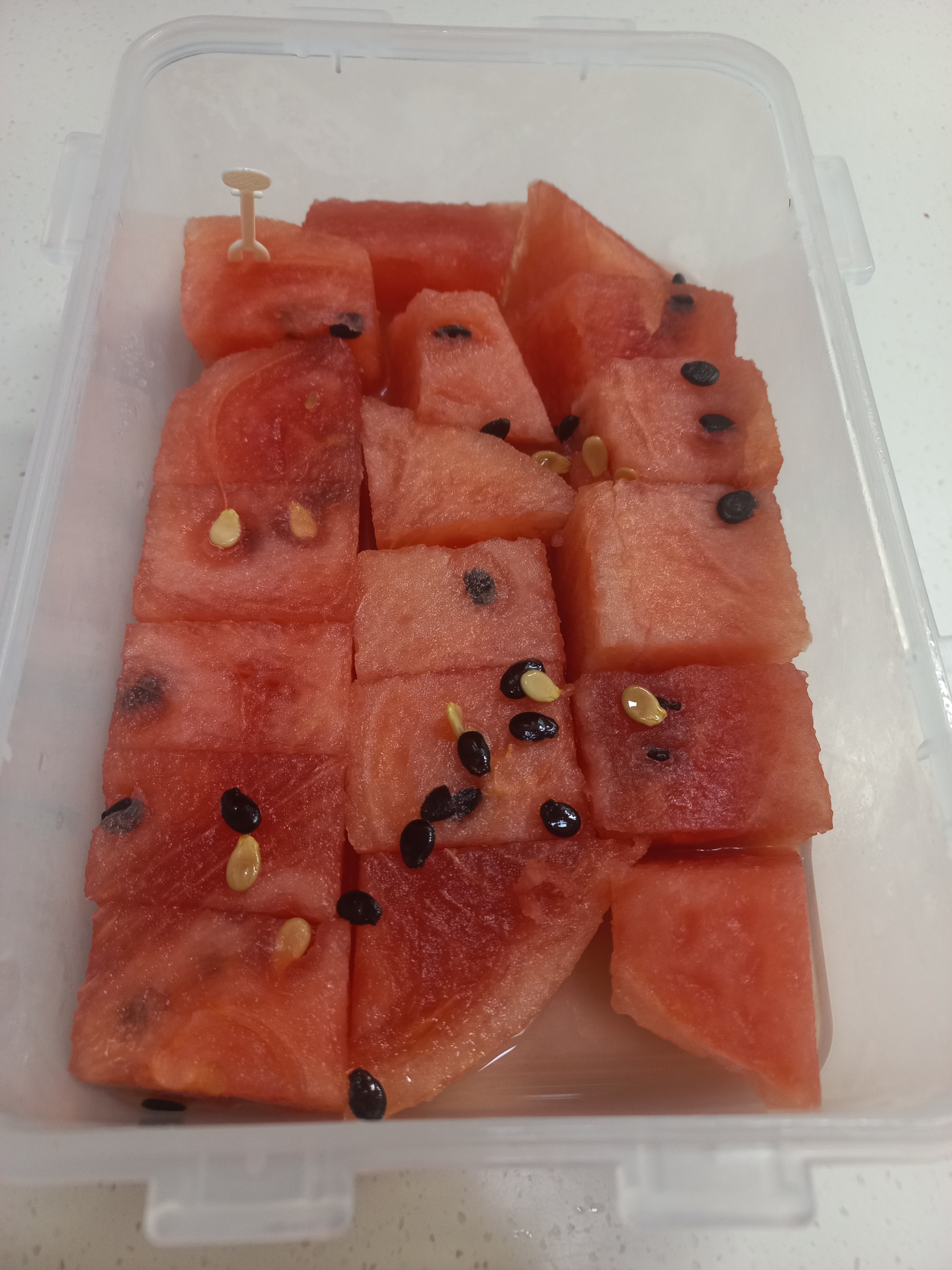 너의 저녁에 𝙷𝚘𝚛𝚊 𐴑ꯦ