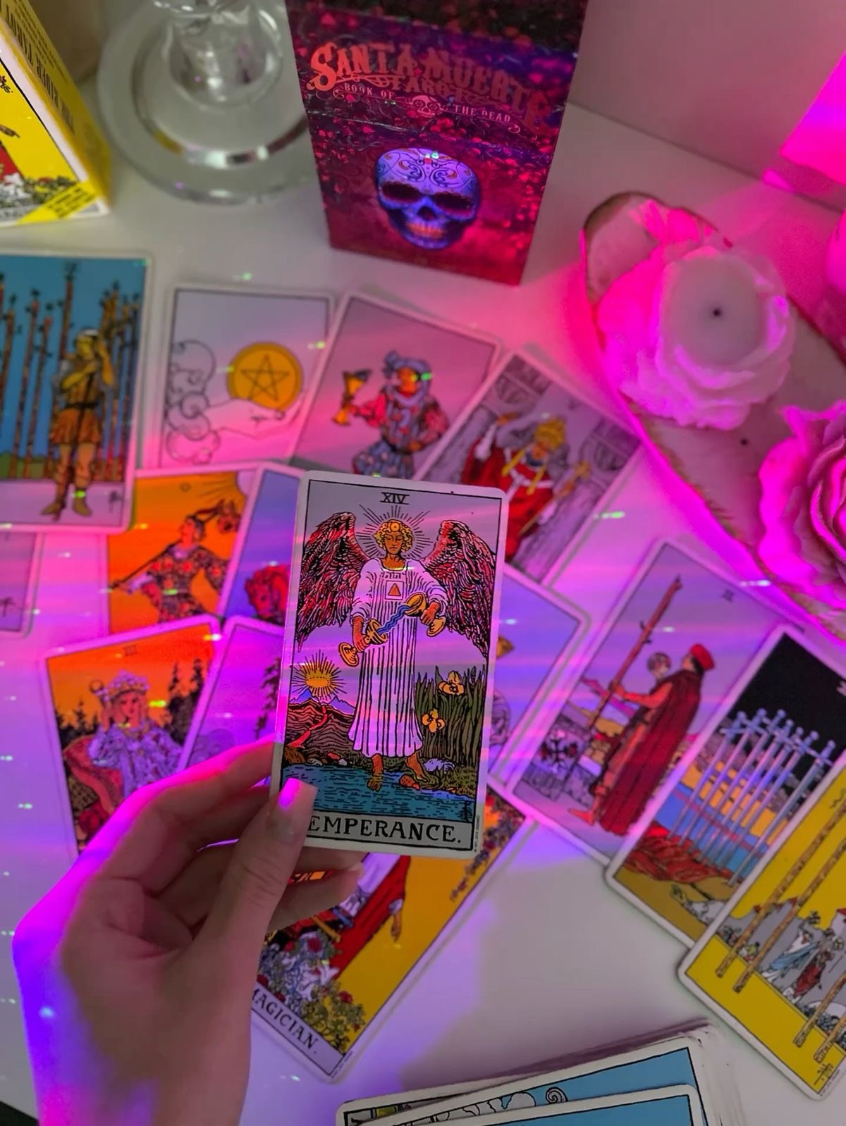 무료타로🧧💋