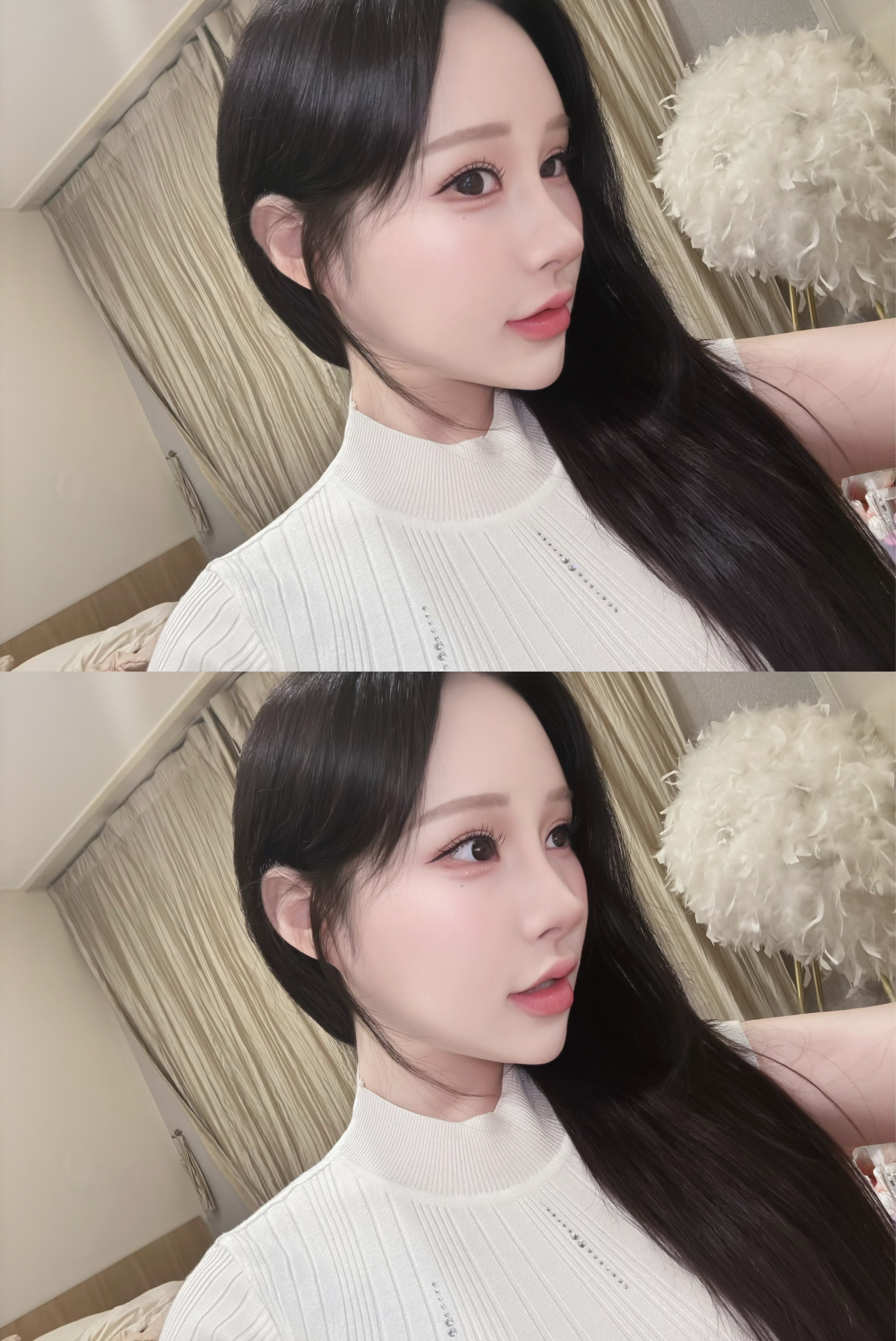 신입이다냥! 간택해달라냥!