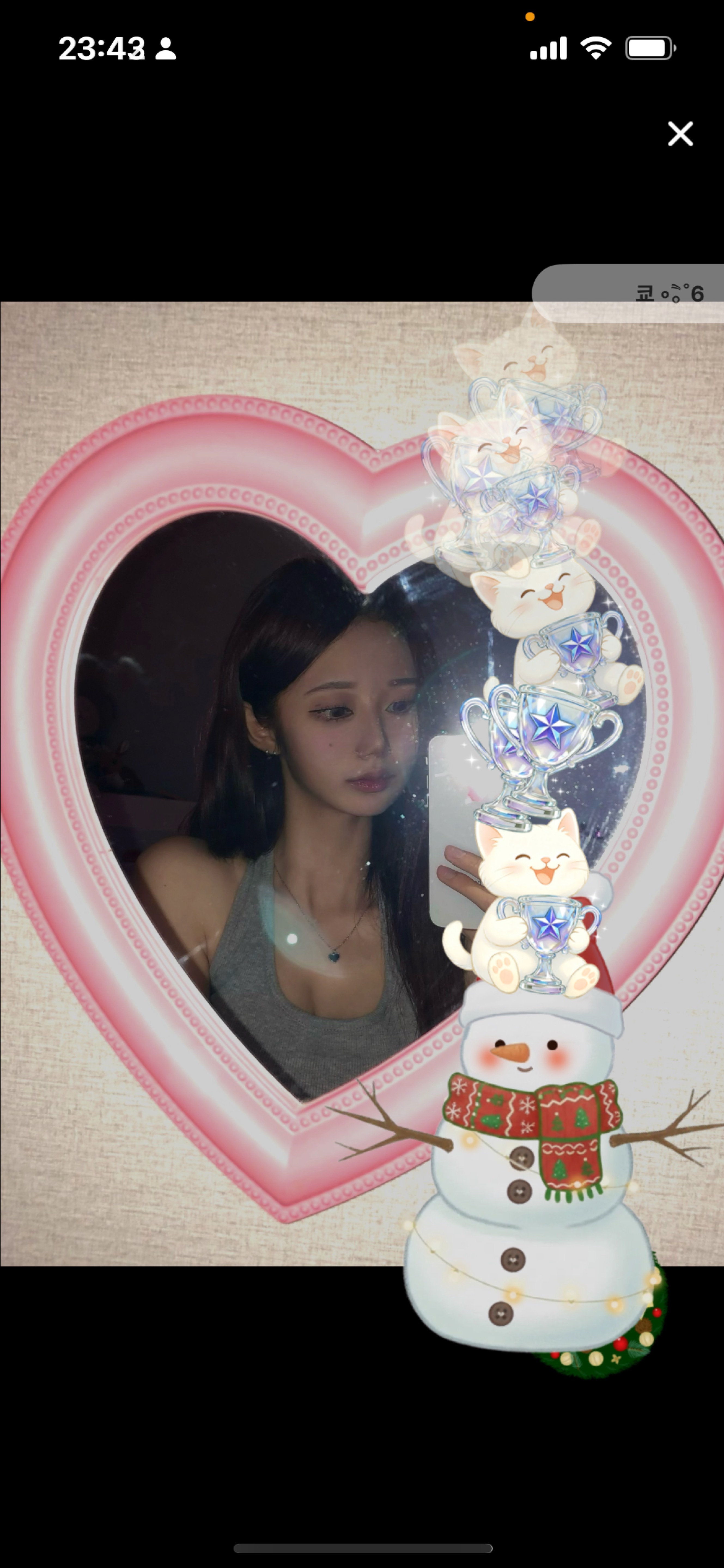 신입8일차)냥줍해가세요 야옹🤍