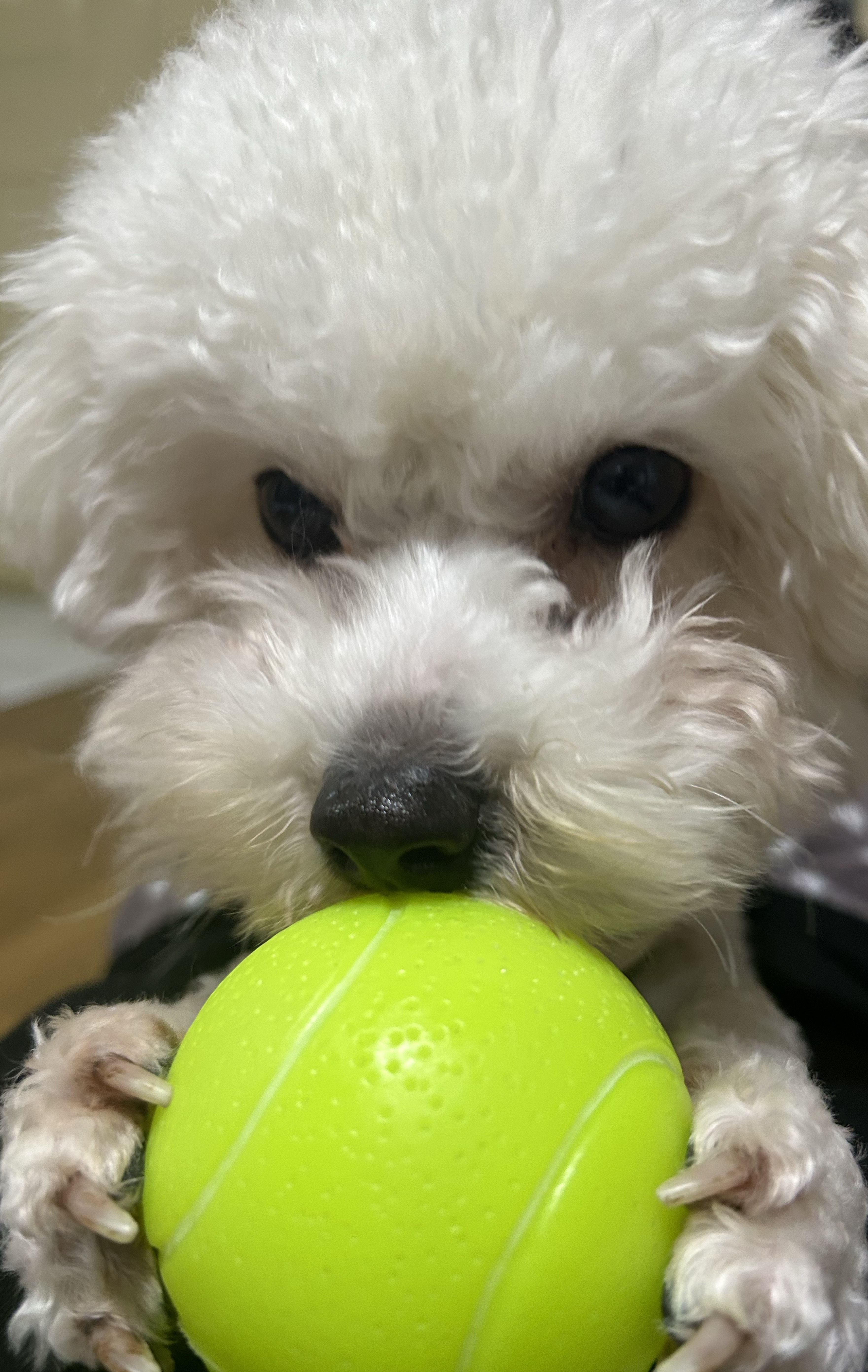 하루가 뜨뜻하게