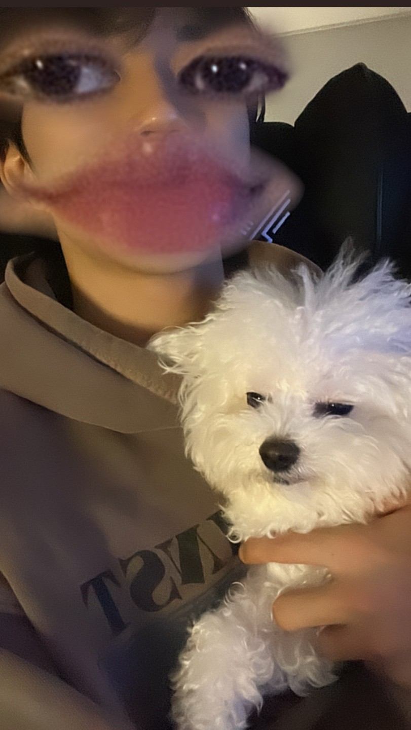 # 사부작 사부작