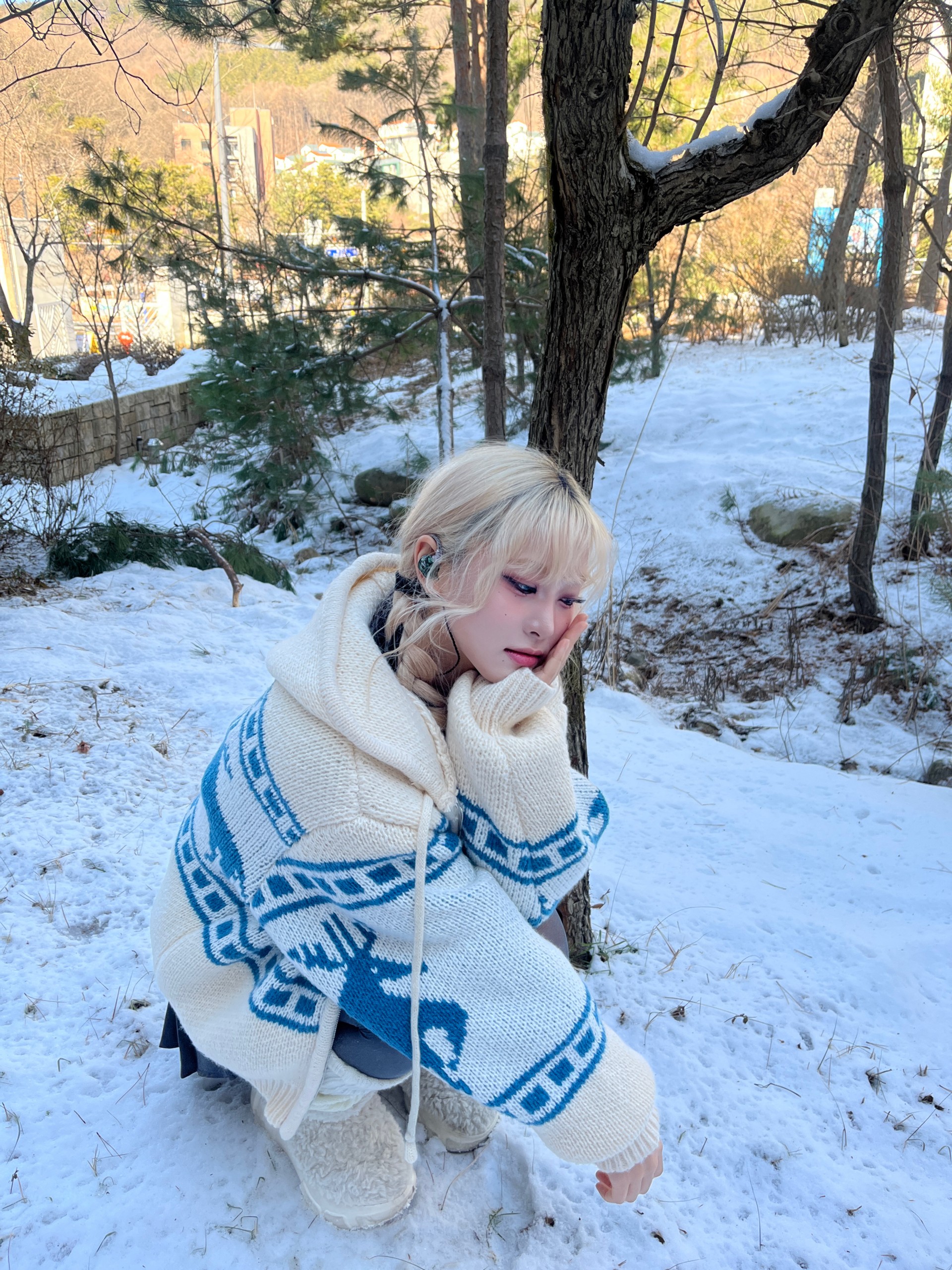 노래로 본상후보 🏆