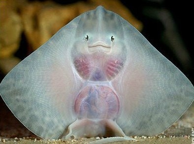 (일)근무중-토란토란한 일상