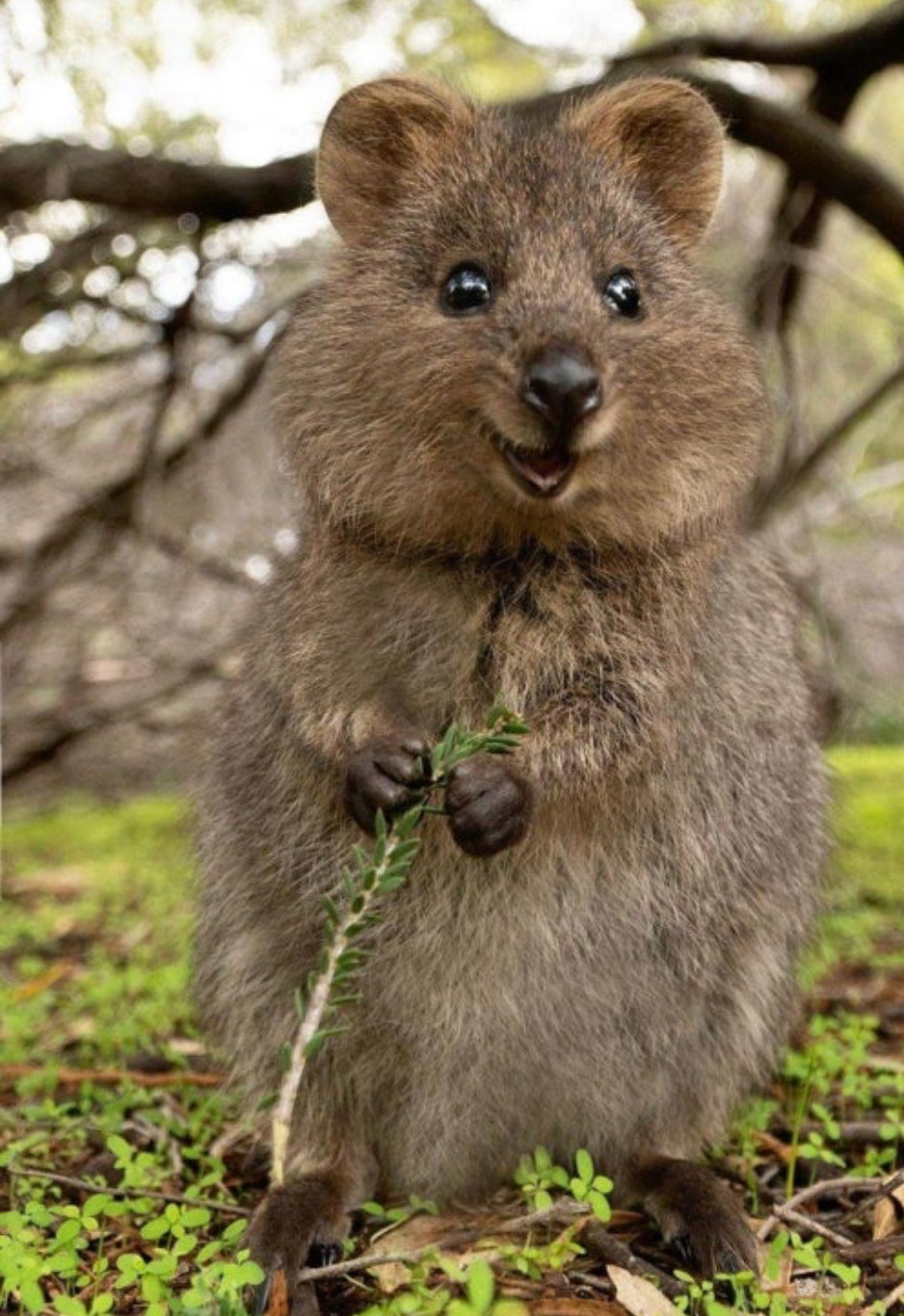 얼굴 개쳐못생긴 사람만