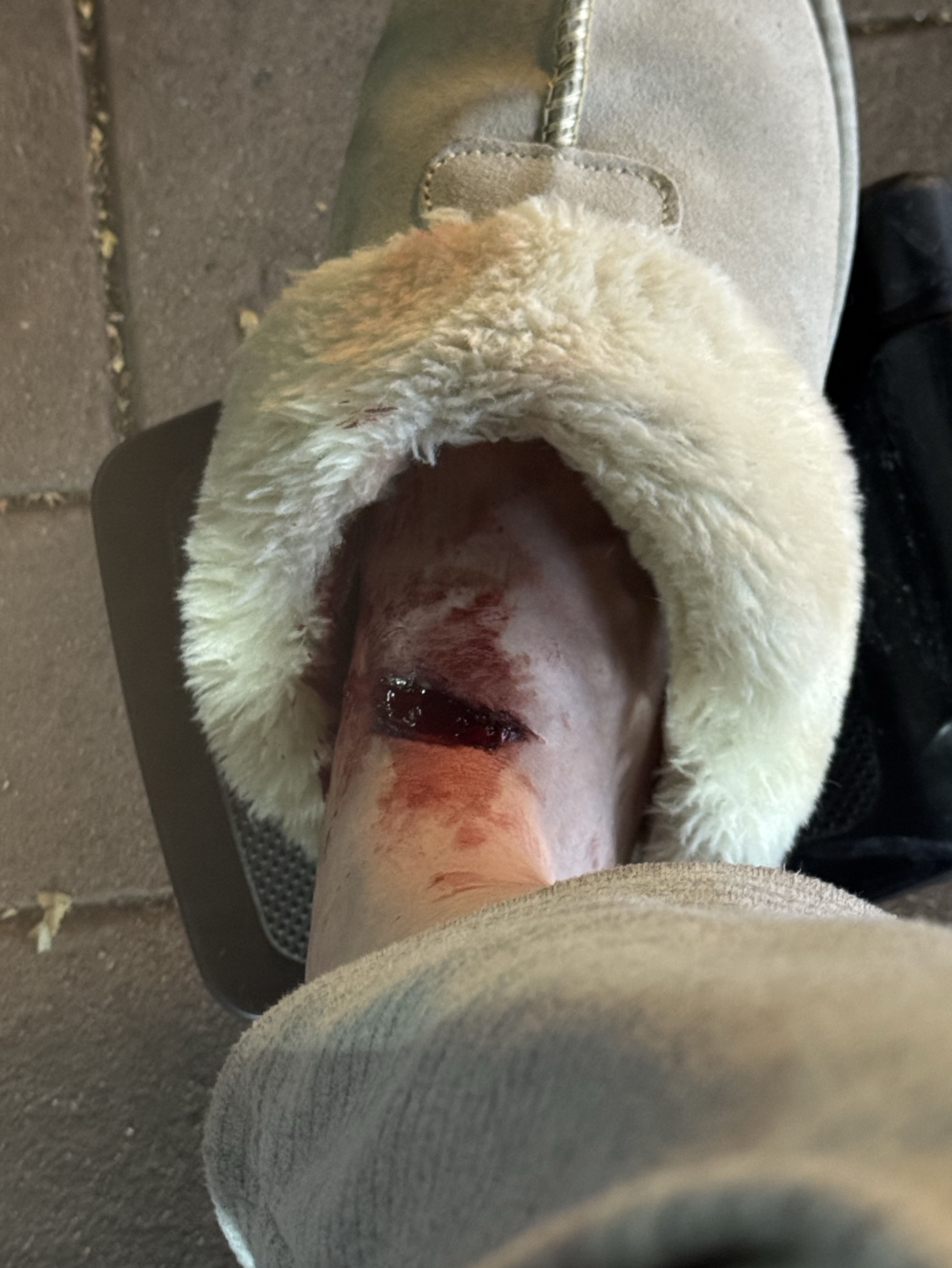 고운이 고운했다고한다