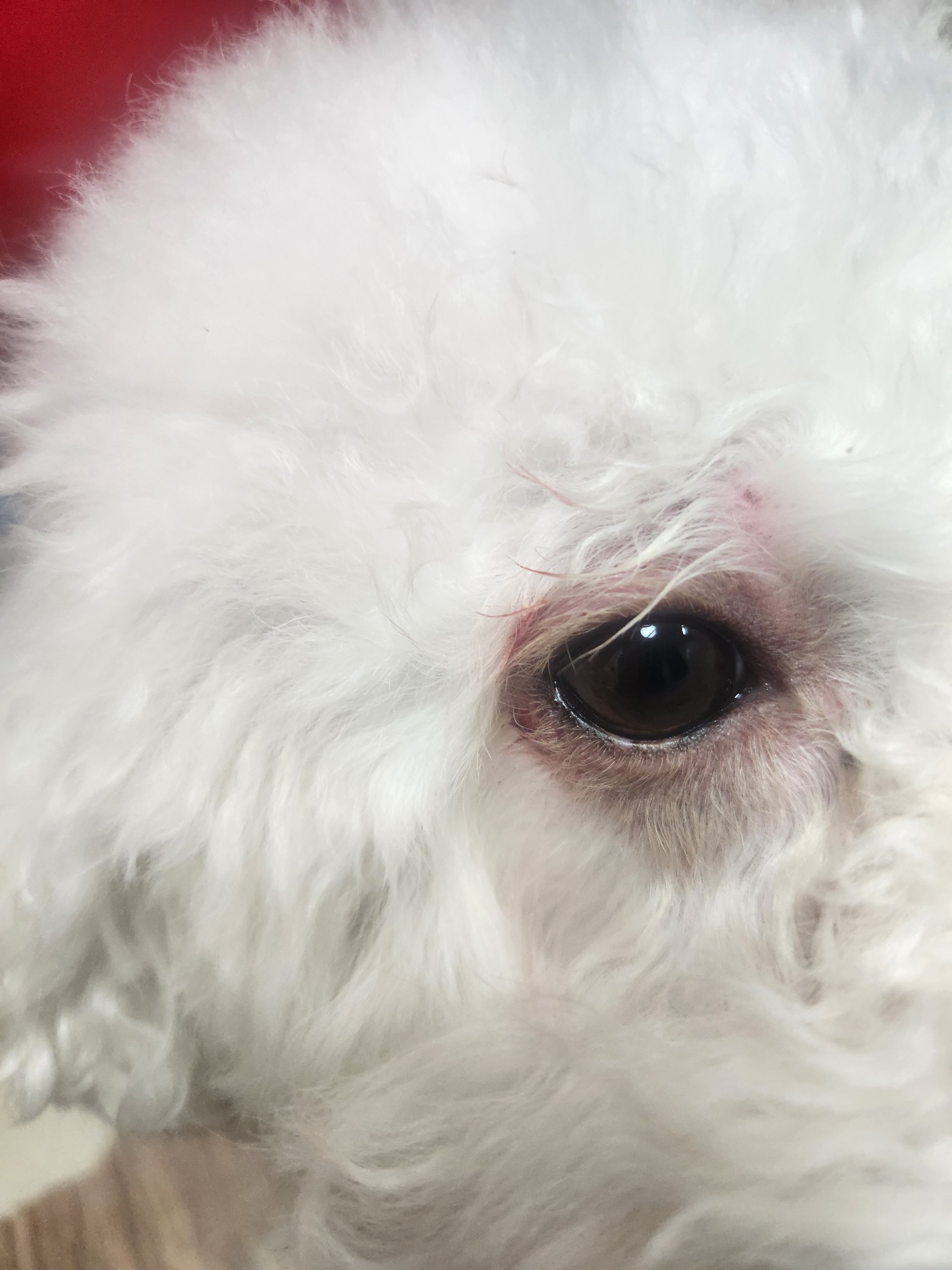 친해지기 쉬워요 진짜루 ! ♥️