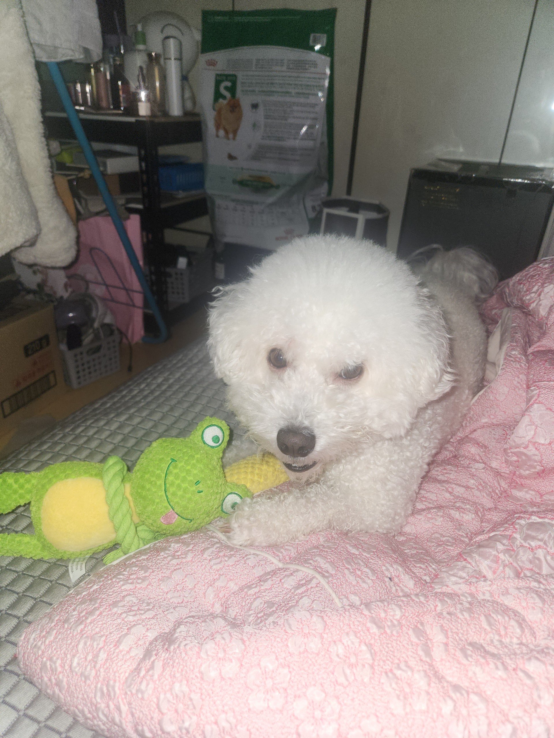 친해지기 쉬워요 진짜루 ! ♥️