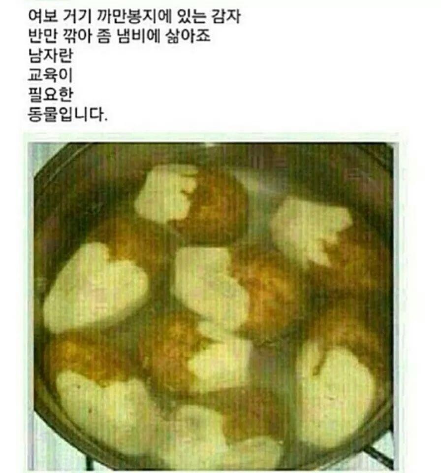 (월)근무중-토란토란한 일상