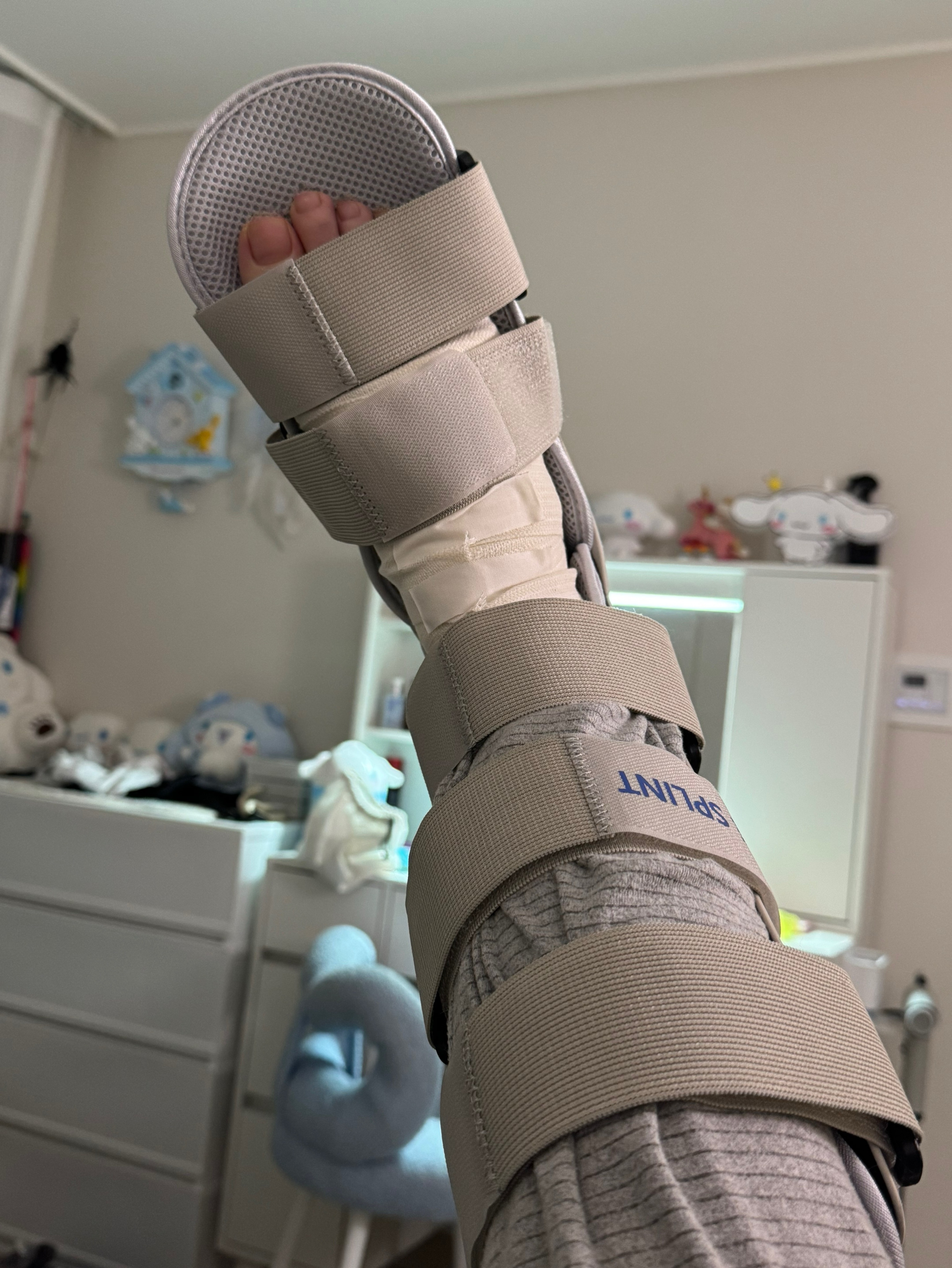 고운이 고운했다고한다