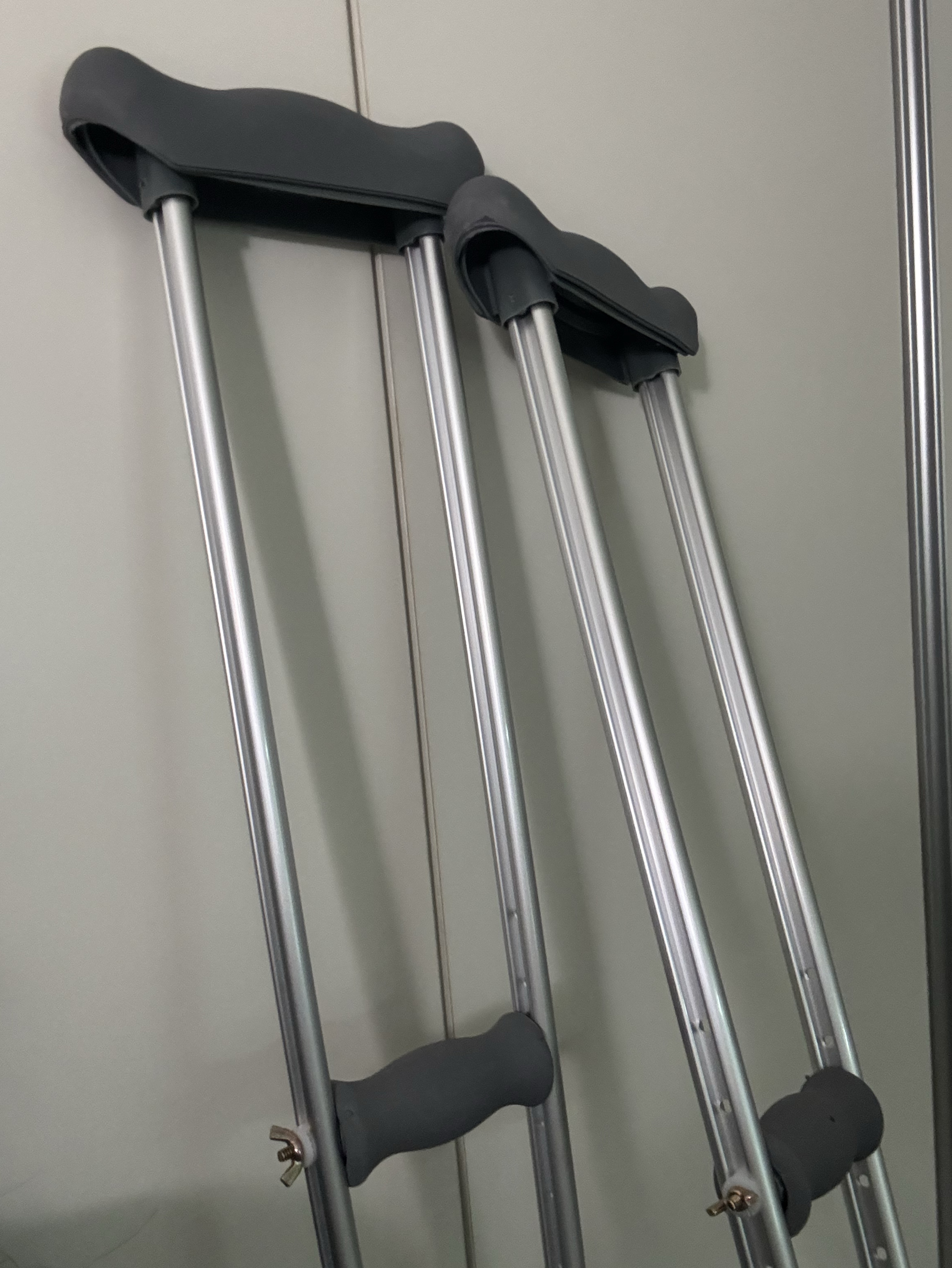 고운이 고운했다고한다