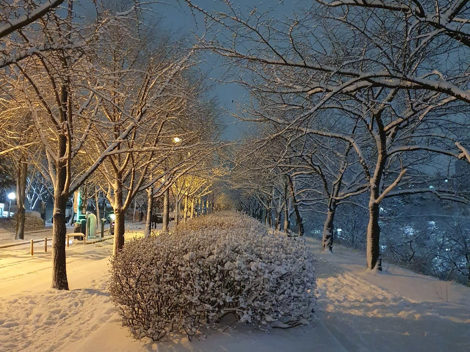 시끄러운 기타연습