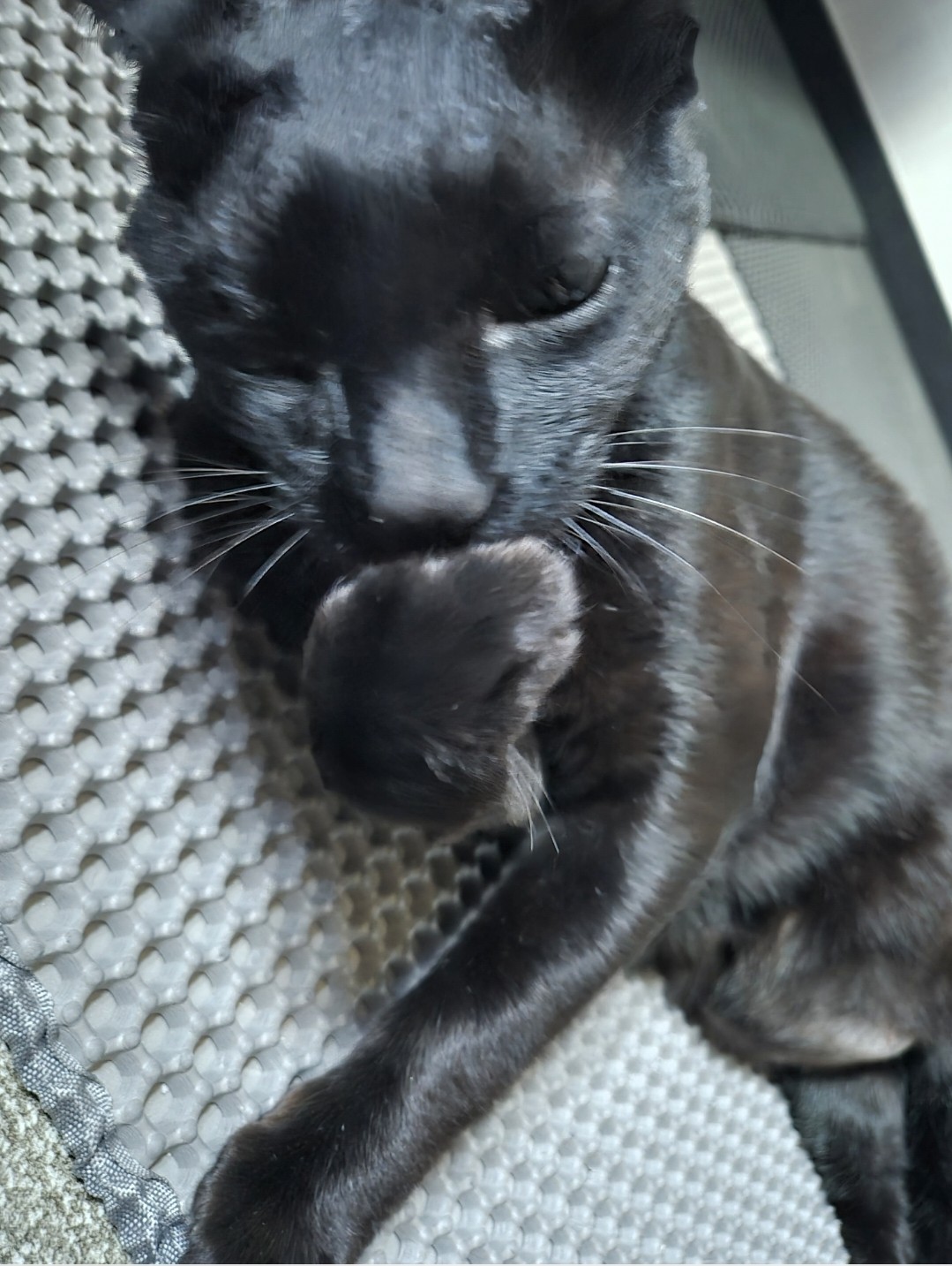 우리 집사가 오늘,