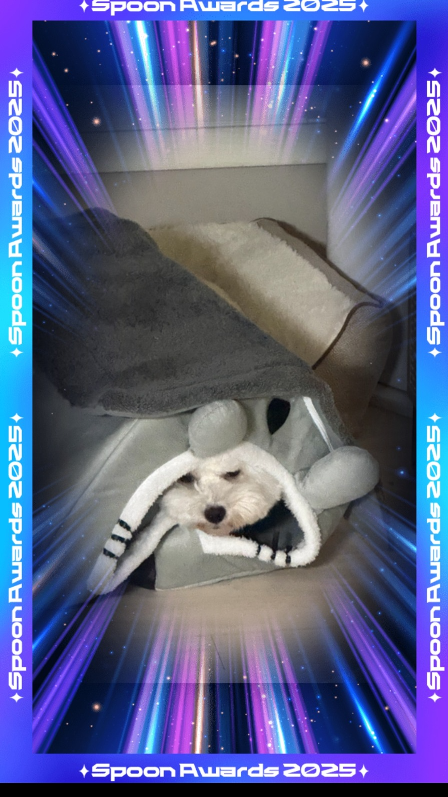 감기.. 수면 루틴. 