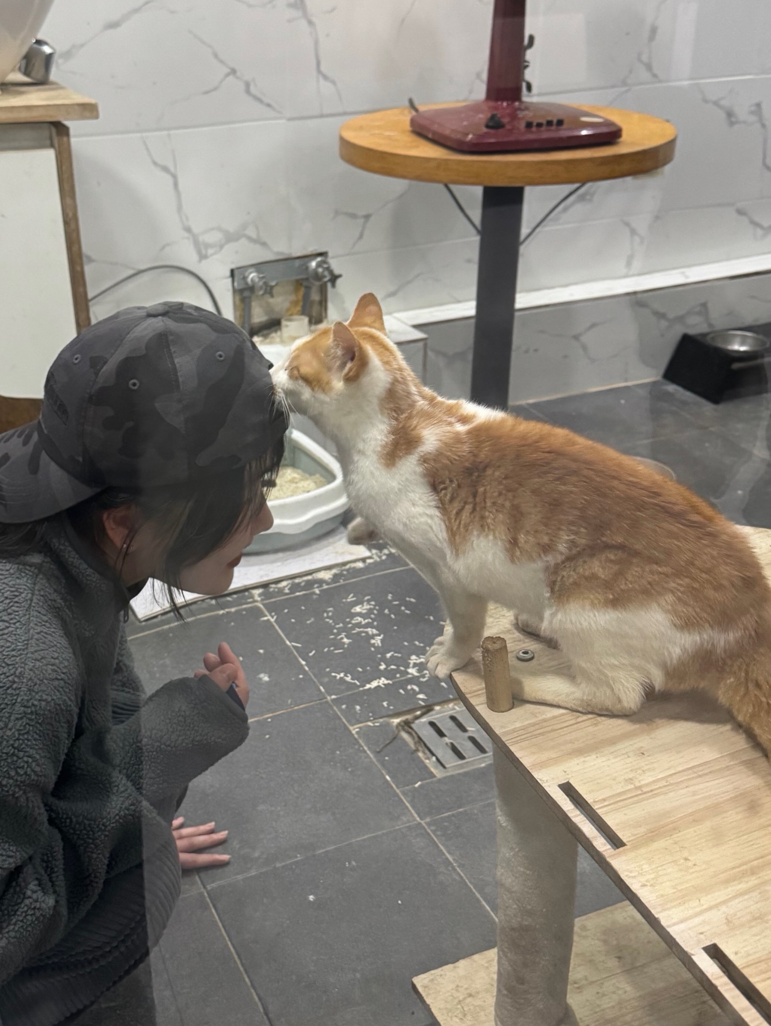 믿을 수가 없어 꿈을 꾸는 걸까