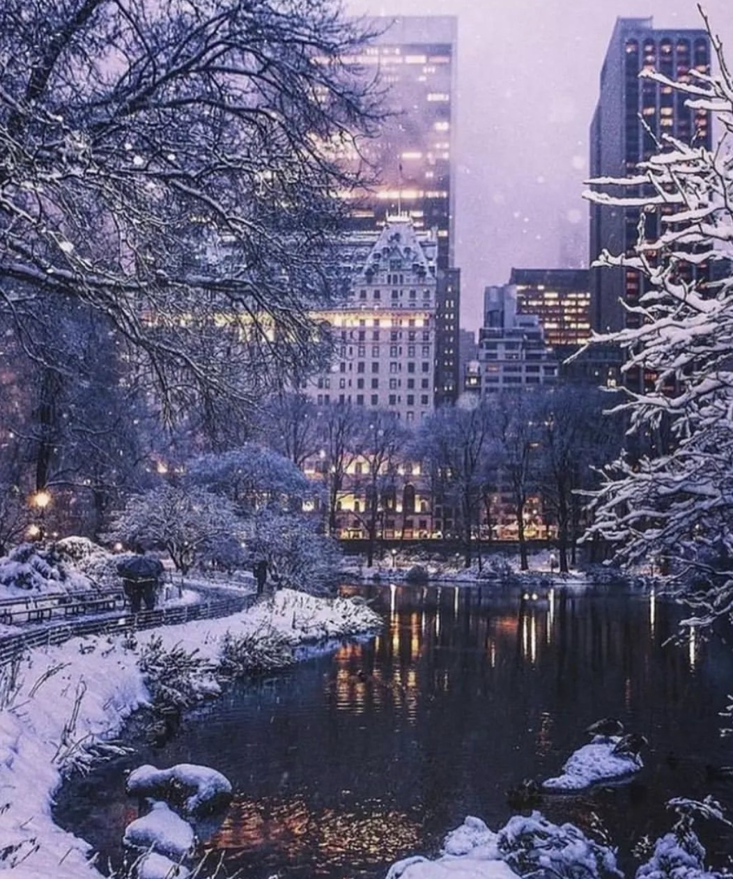 아침 고음질 라이브 연주 🎹