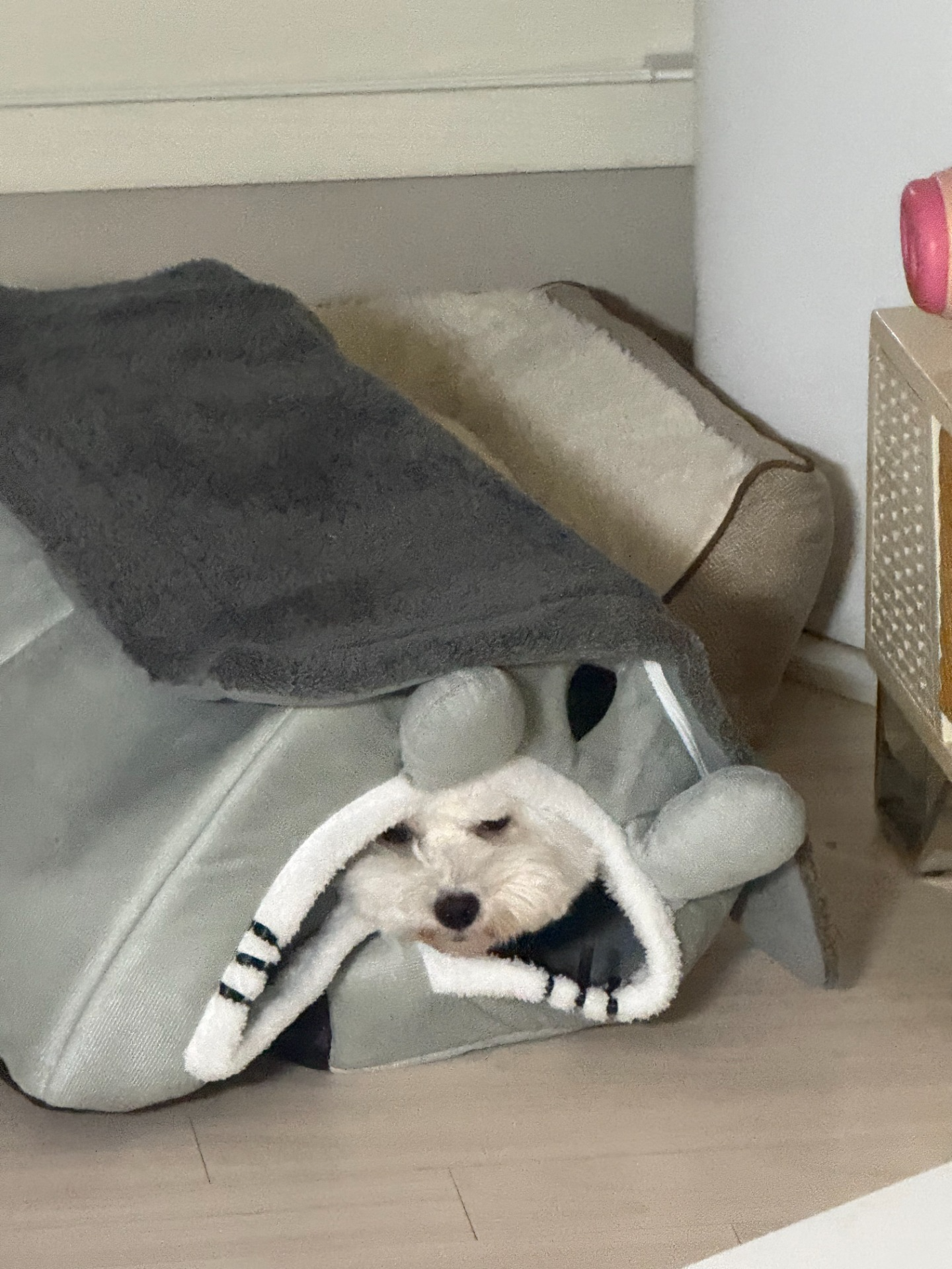 감기.. 수면 루틴. 