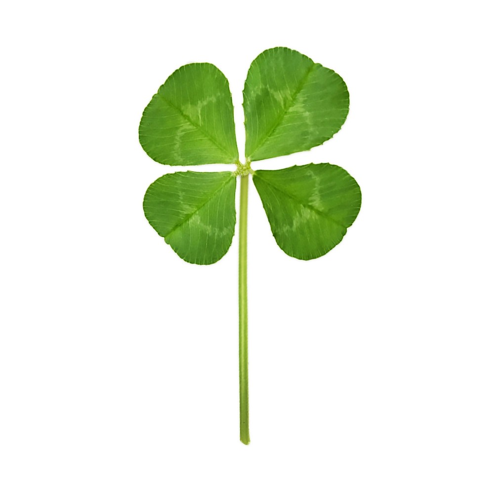 여자 부족 # 혼자가 안되는 소개팅