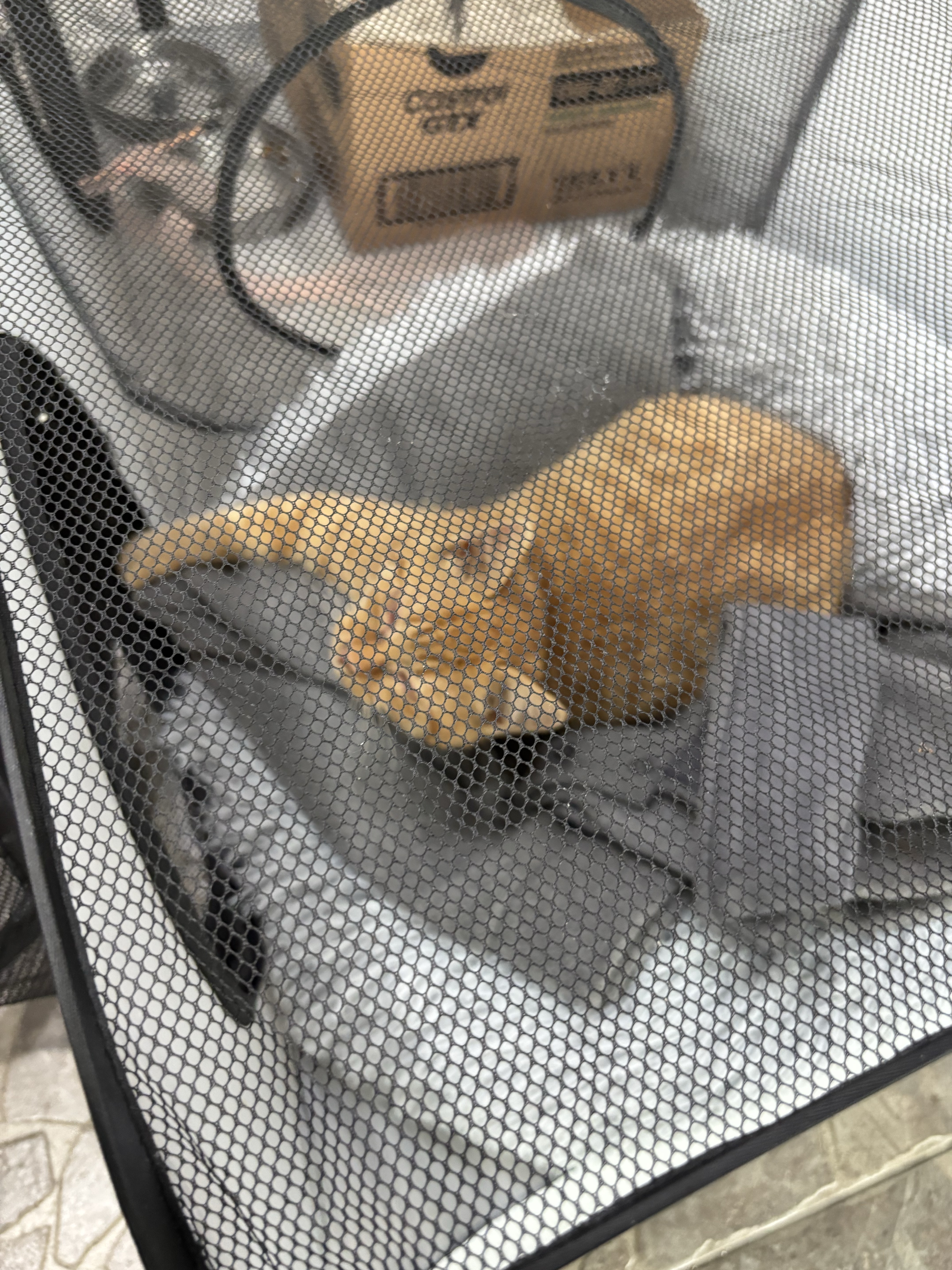 이상형 찾으면 방종