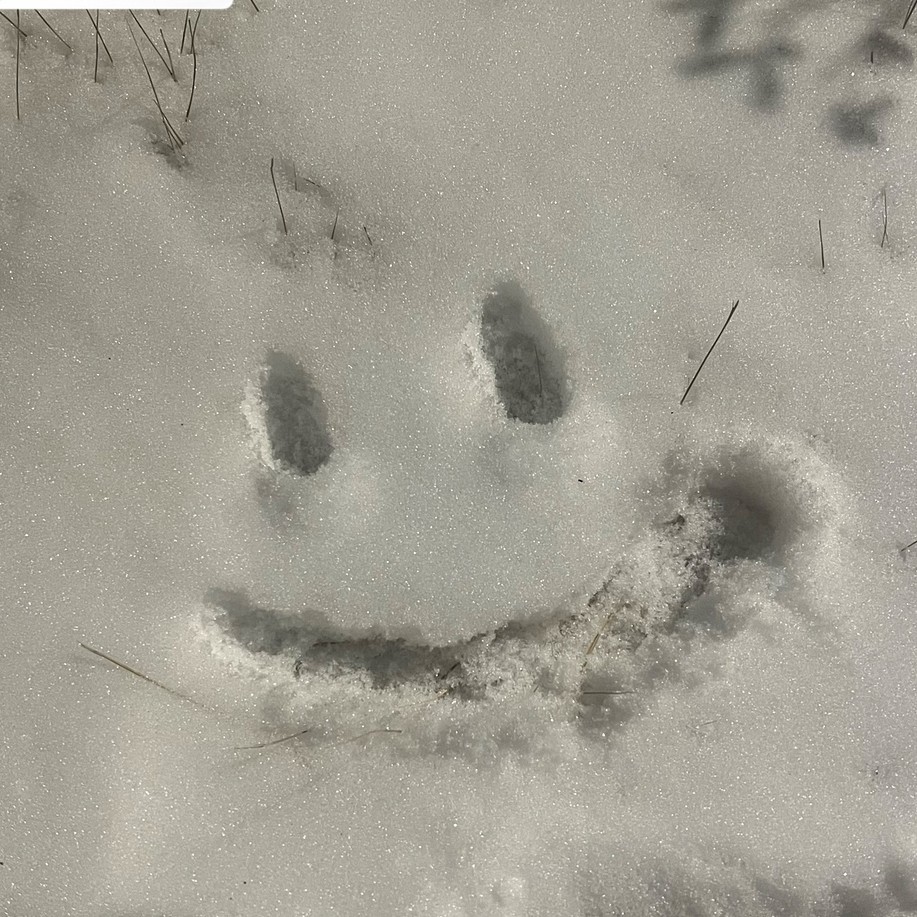 # 사부작 사부작