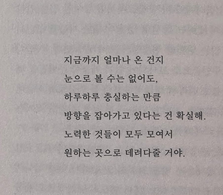 신점보는 단아는 코노왔어요 !