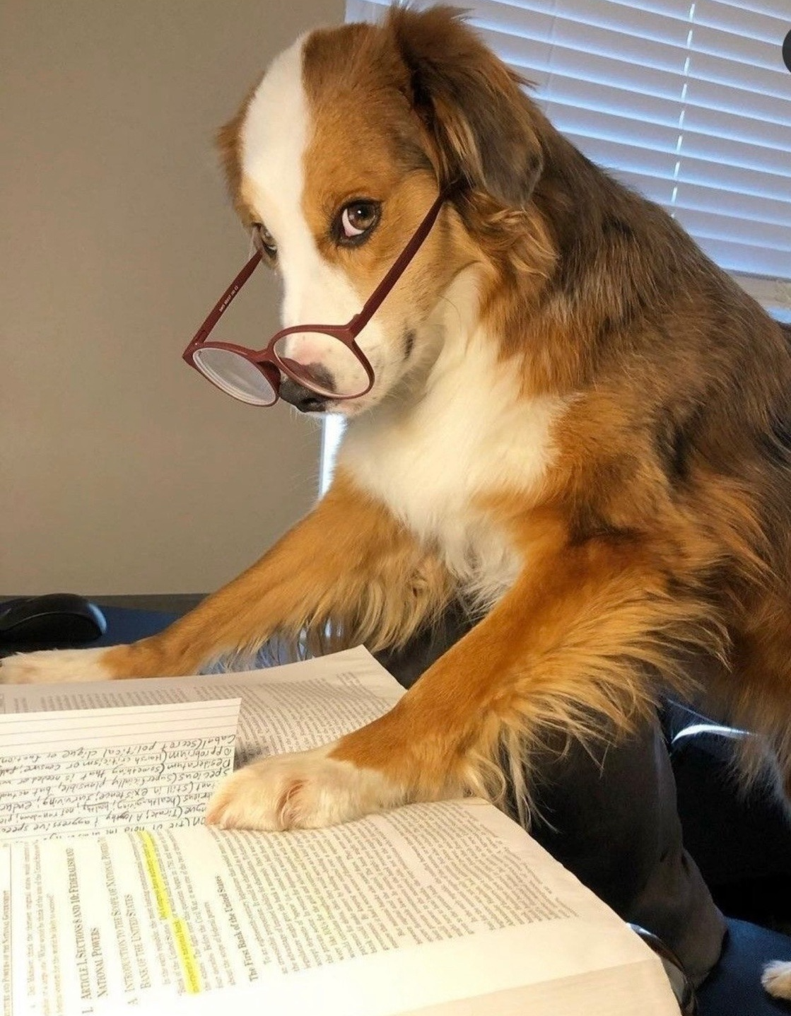 듣기 편한 방송