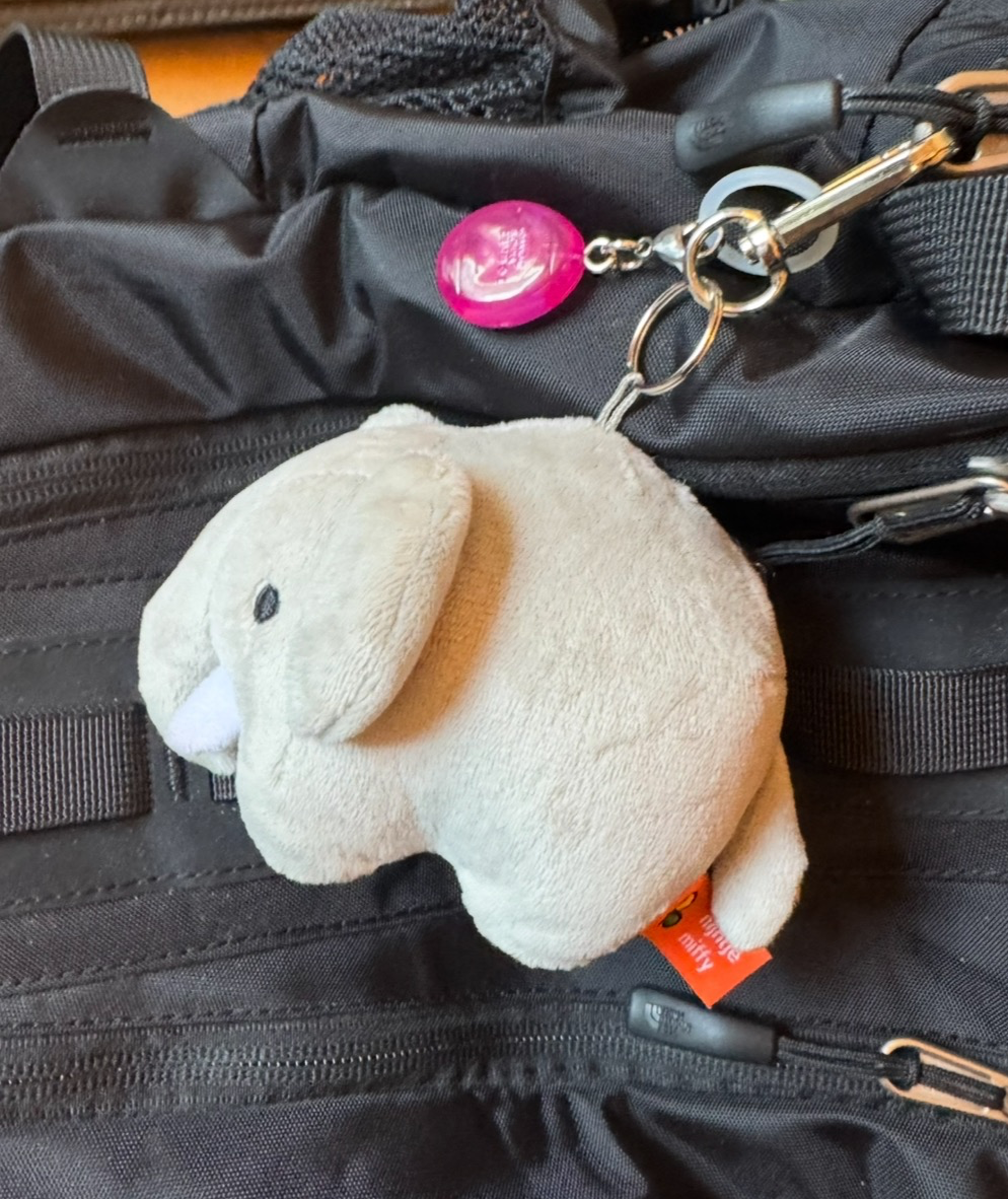 카페에서 공부 asmr