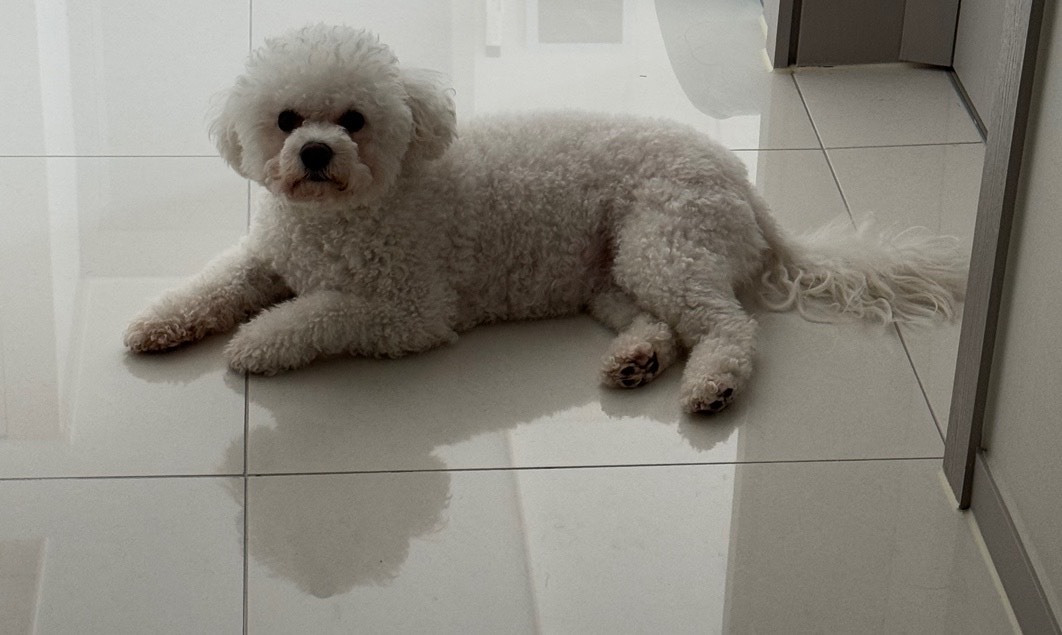 😊 안녕하세요 ?