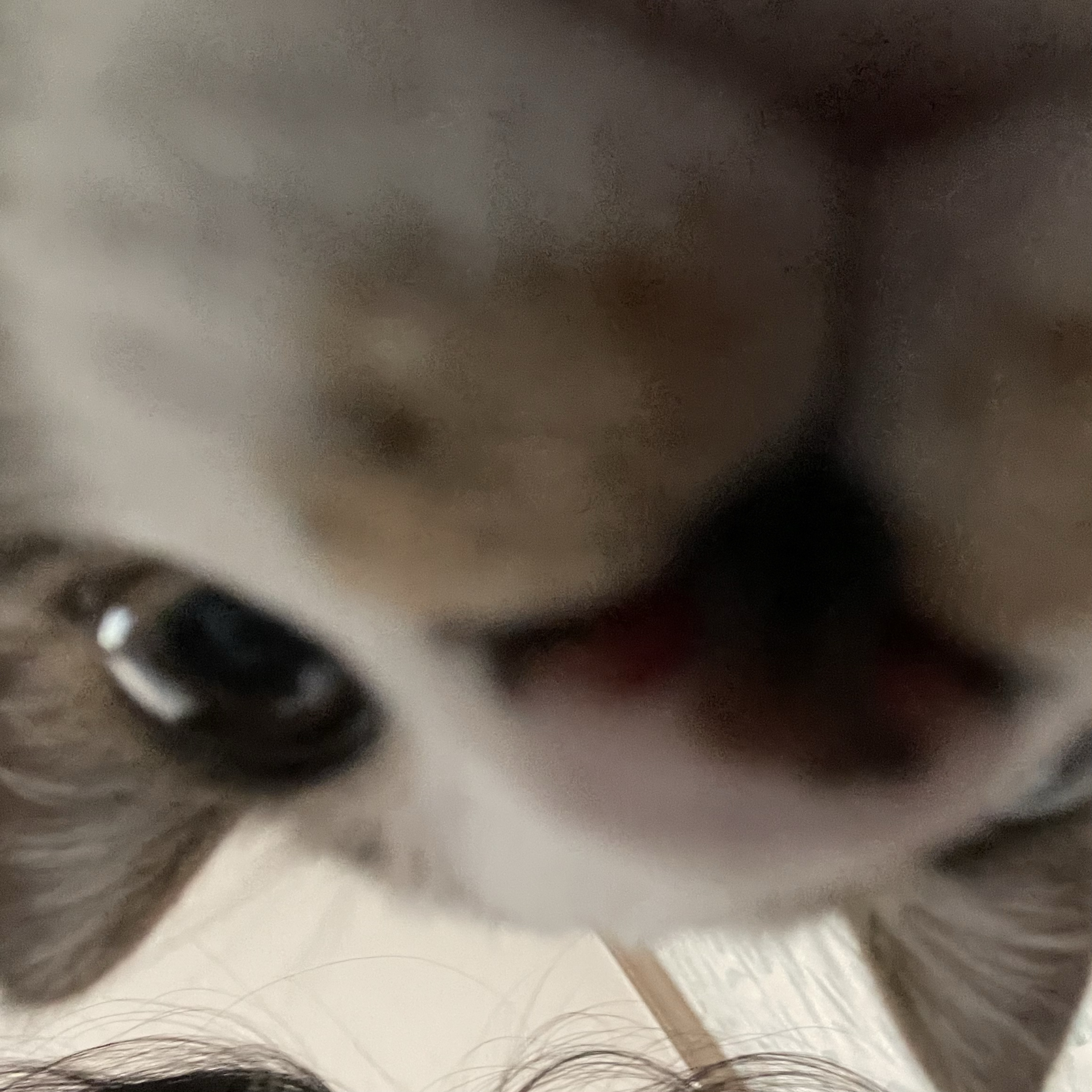 🤸🤸‍♀️🤸‍♂️신났다..!