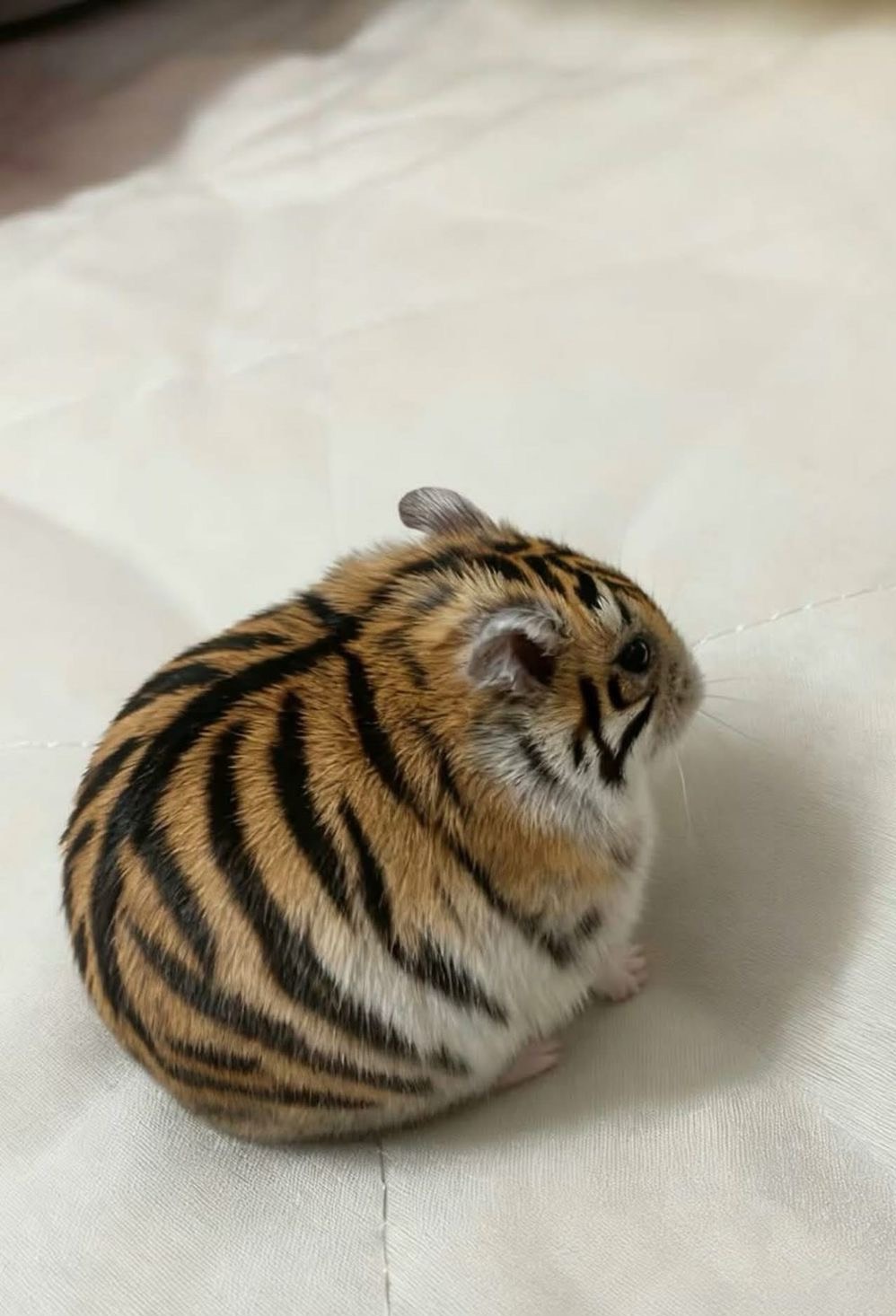 항마력이 딸려요..