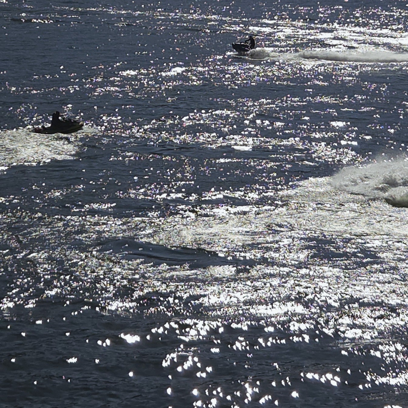 가끔 켜는 타로방송