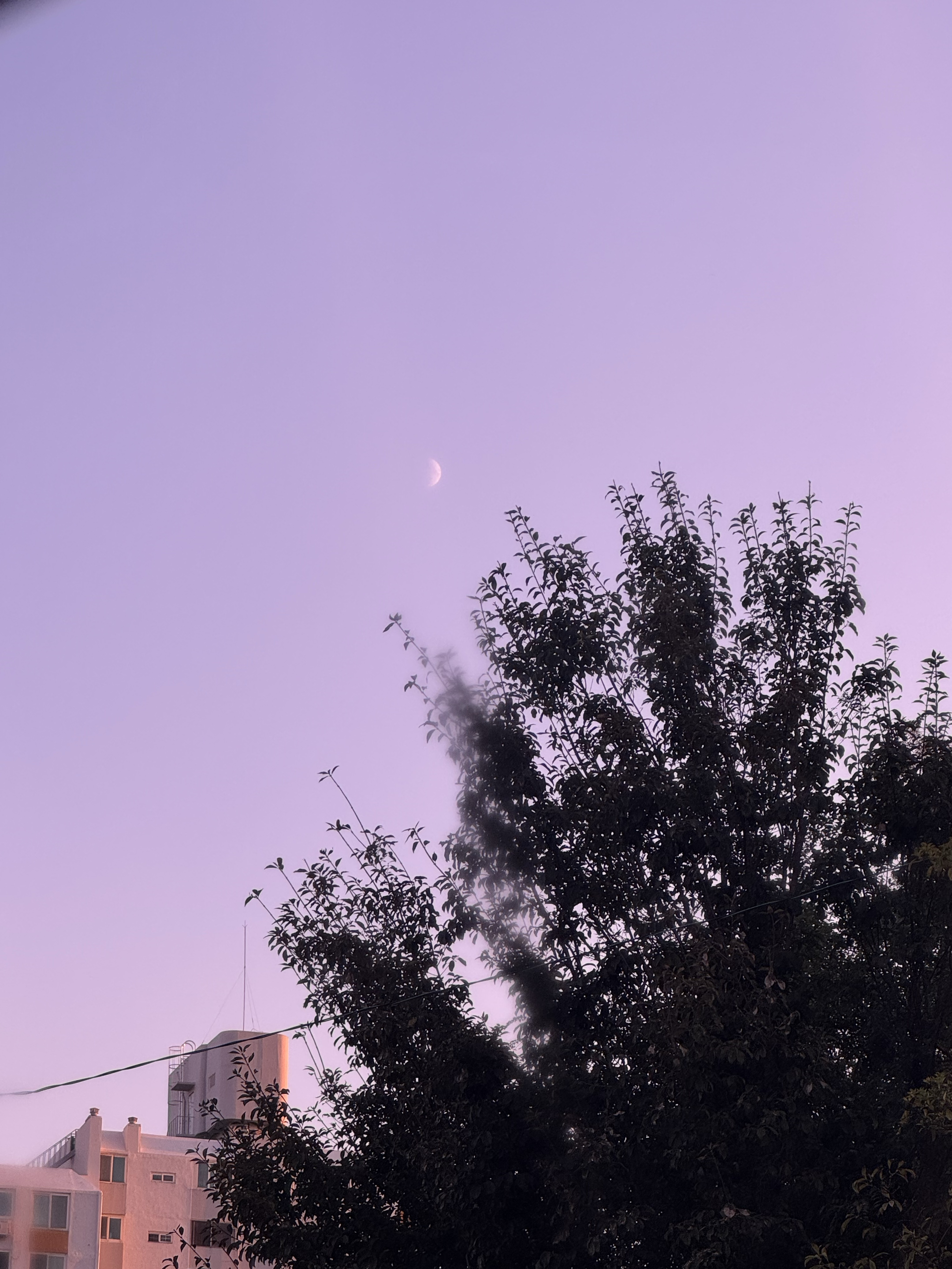 오랜만에 새벽 방송🌙