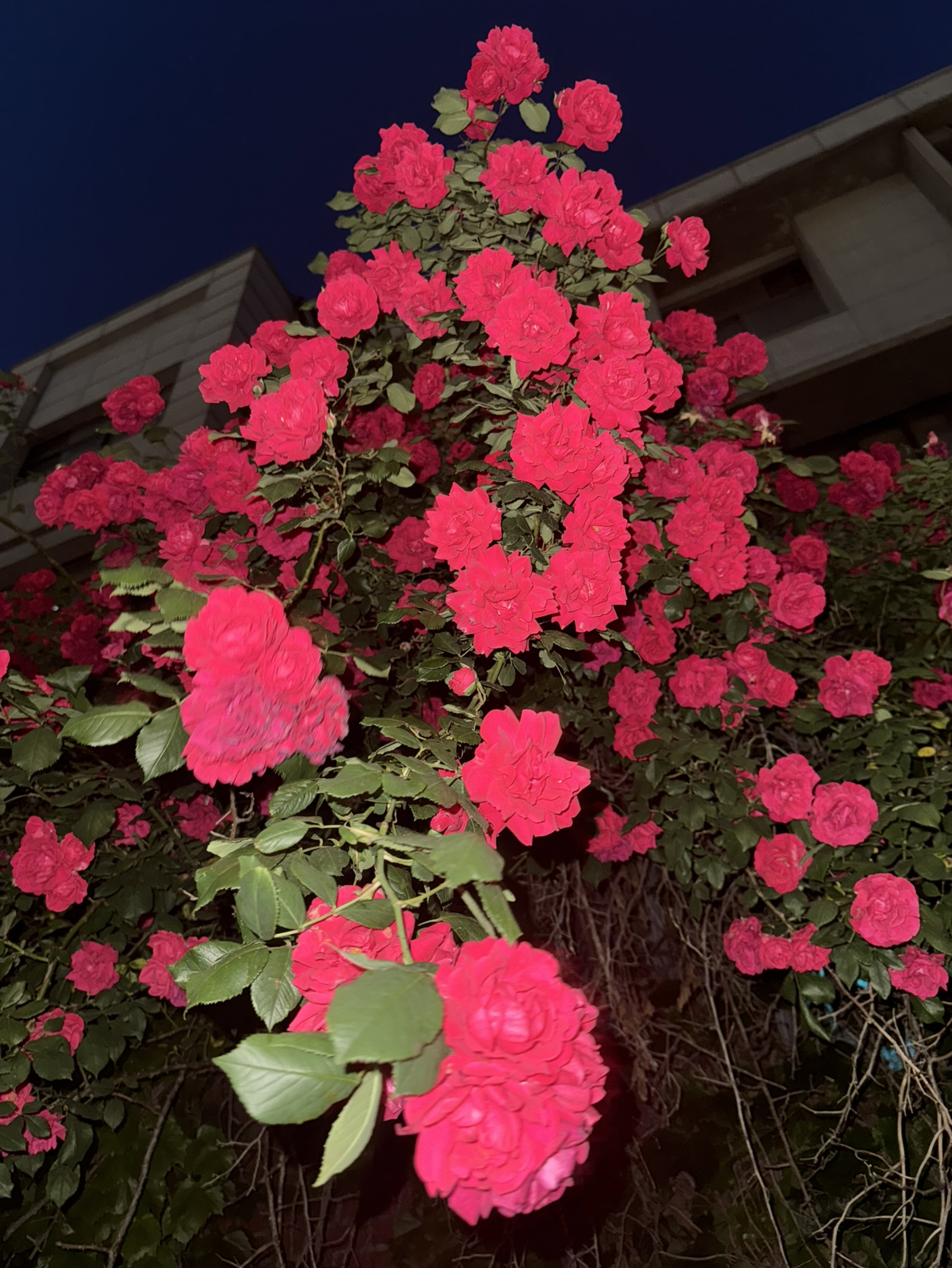 Wow🤓 나 이제 방송 5일차에요.