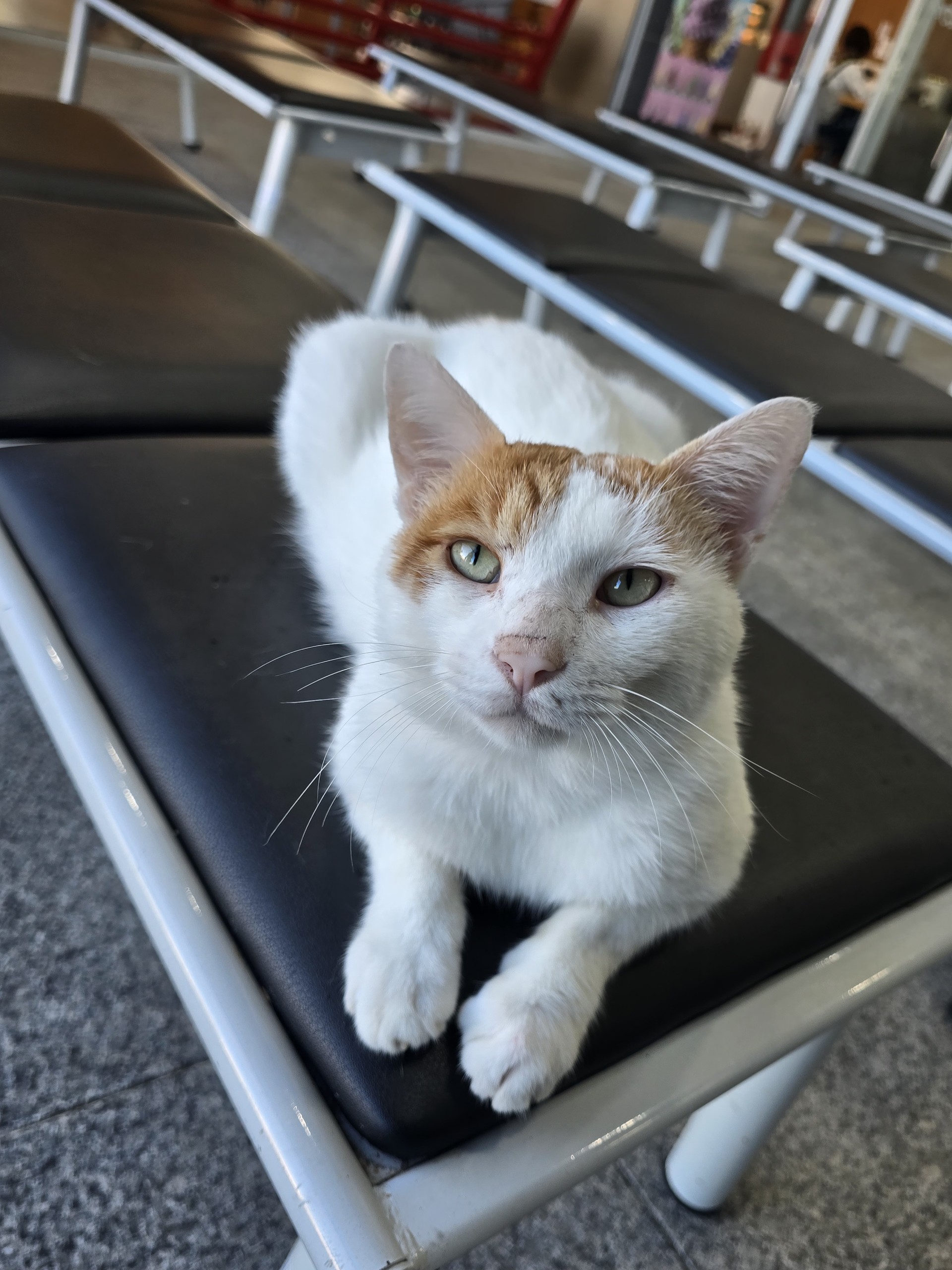 심심한데.. 꼭 오실거죠?