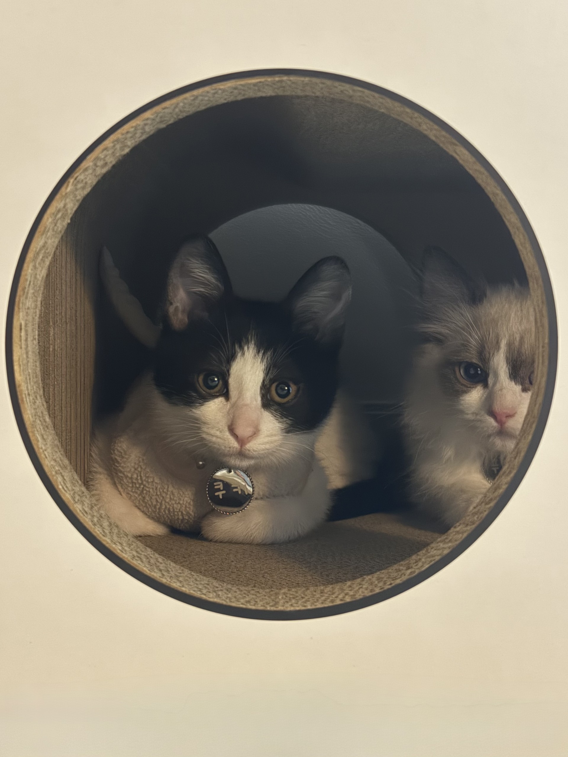 일하며 듣기 좋은 방송 1위