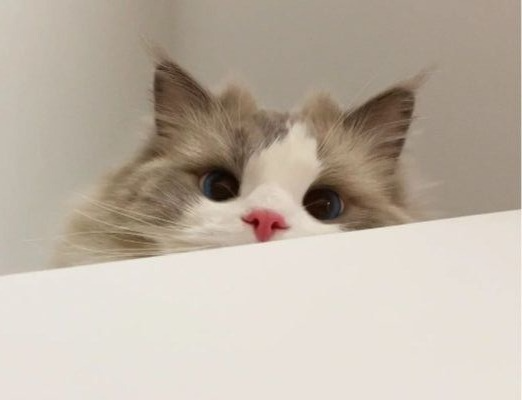 늦잠 재워볼게요. 