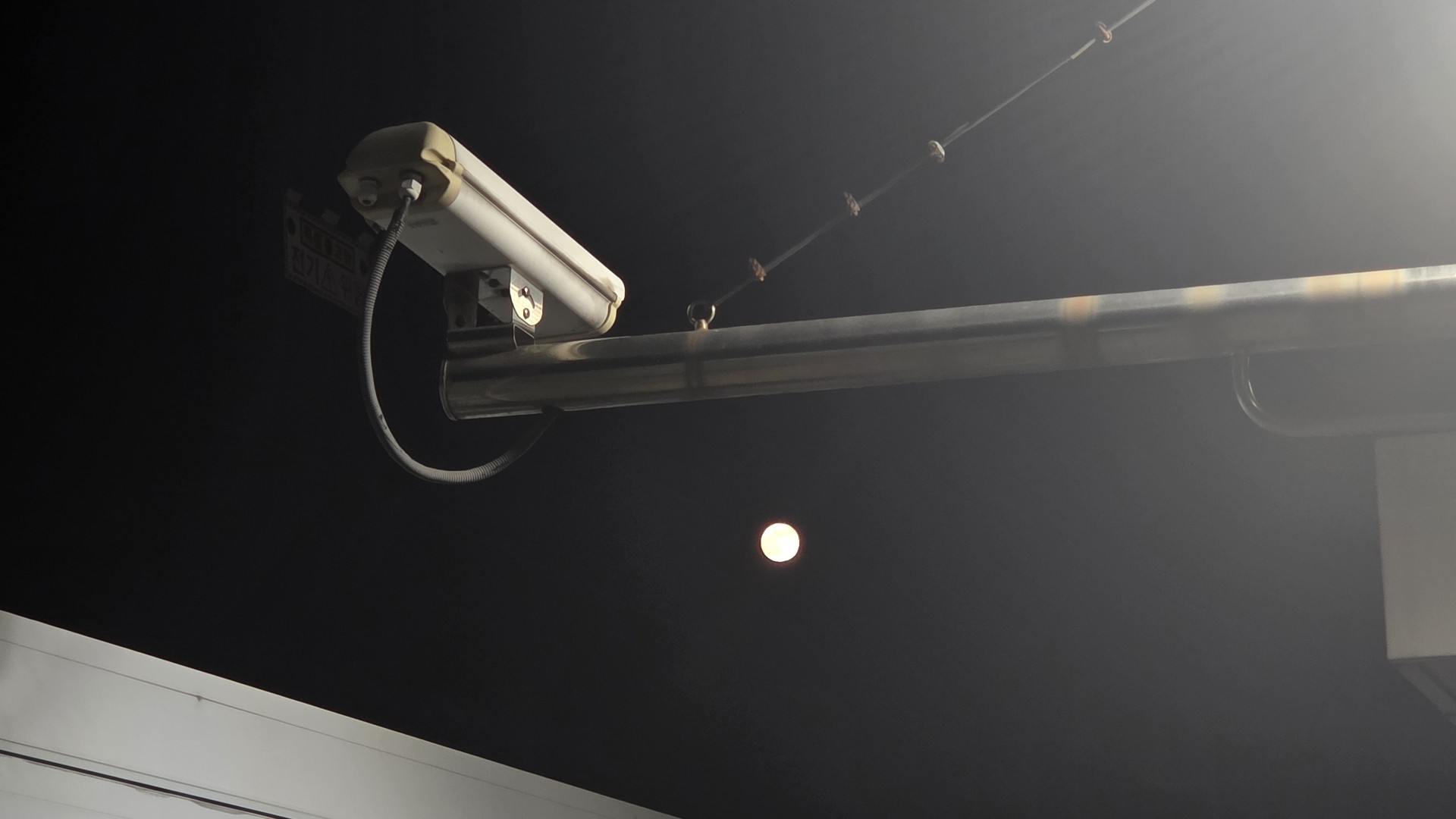 사주&mbti 상담과 라콜