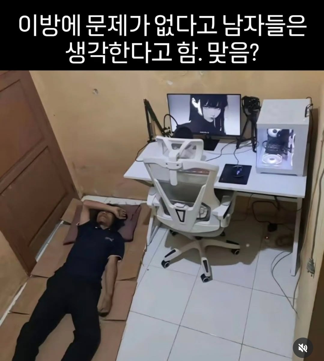단아 방송에 미친자 너무심심해 🥺